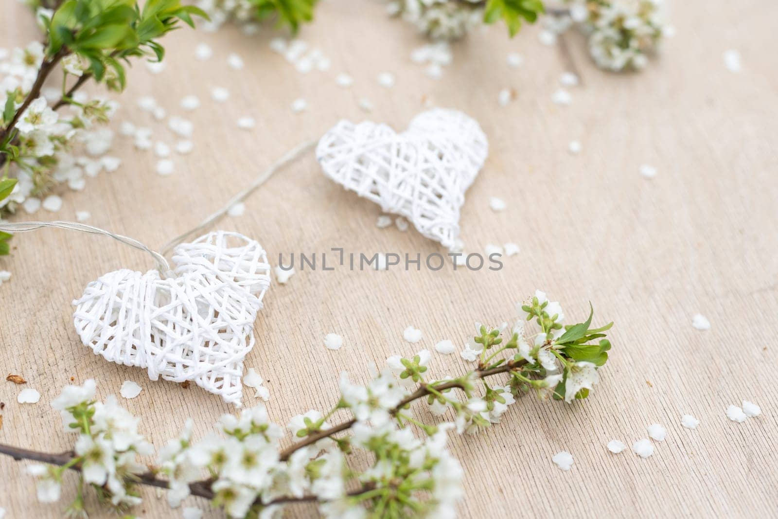 Hands touch heart a branch of an apple tree blooming with white flowers. Apple blossom. Love nature by Andelov13