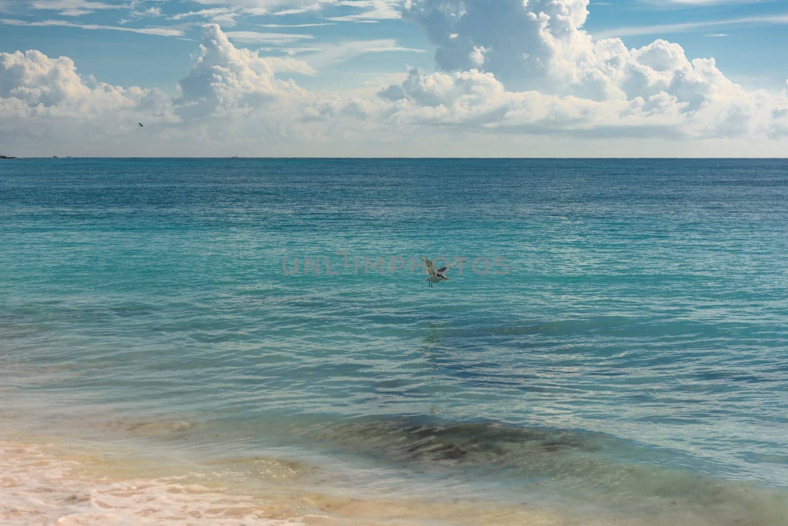 Sea shore on the Caribbean beach in the Area Hoteleria in Cancun Quintana Roo Mexico.