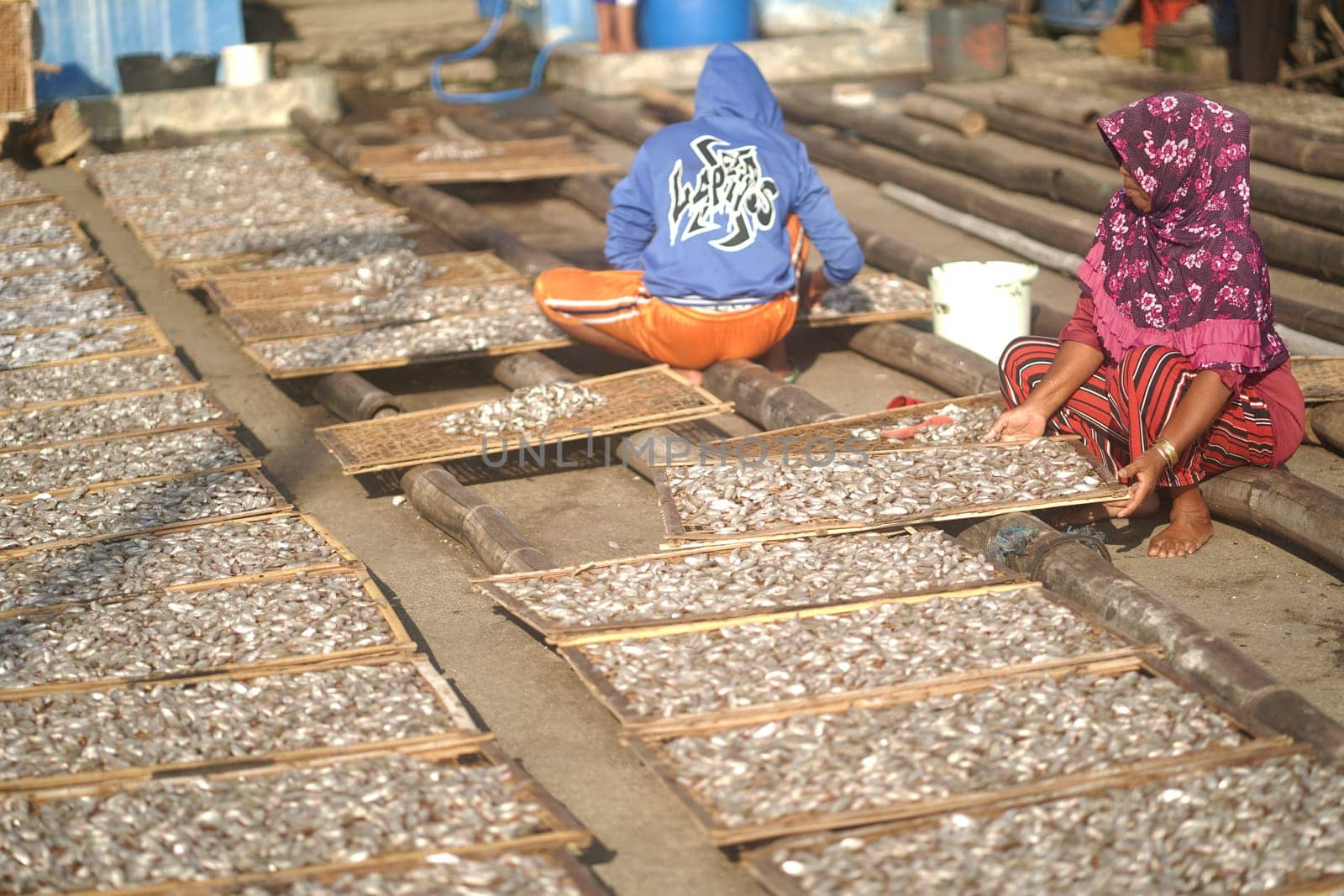 Banyuwangi, Indonesia - October 9, 2021 : People drying fish at the fishing port. Street Photography Editorial