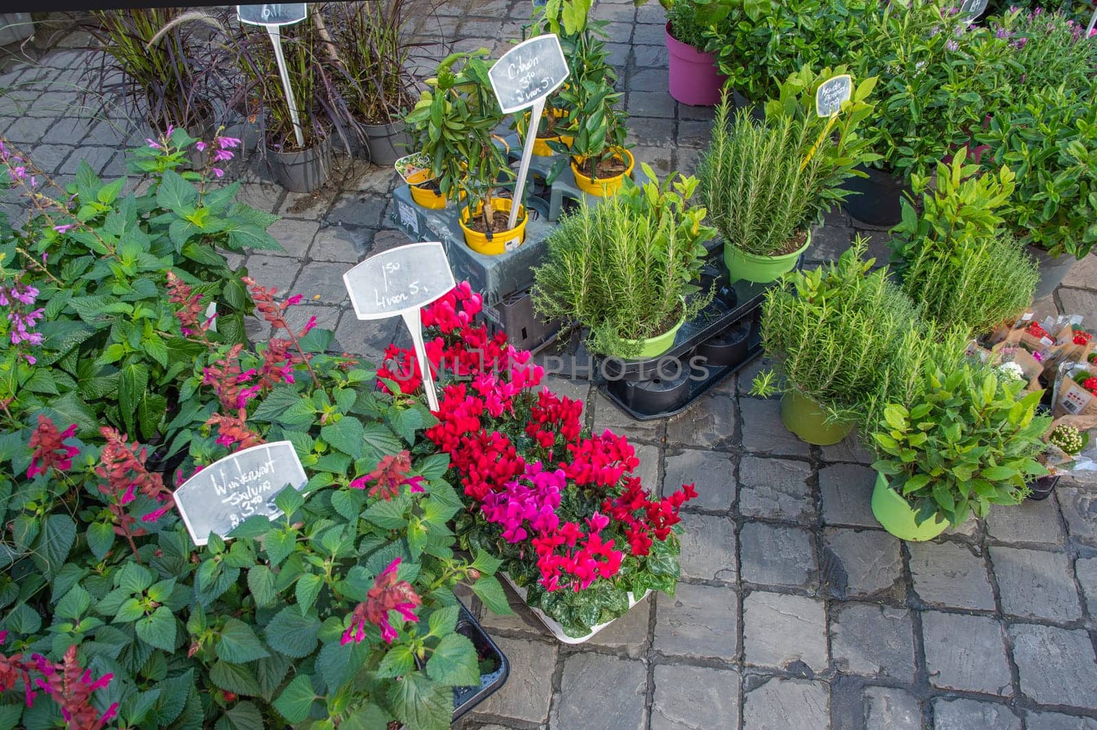 different flowers are sold in the market in baskets, with price tags, High quality photo