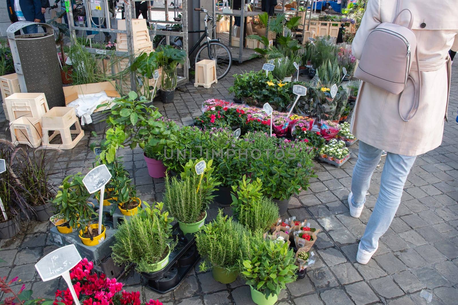 different flowers are sold in the market in baskets, with price tags, High quality photo