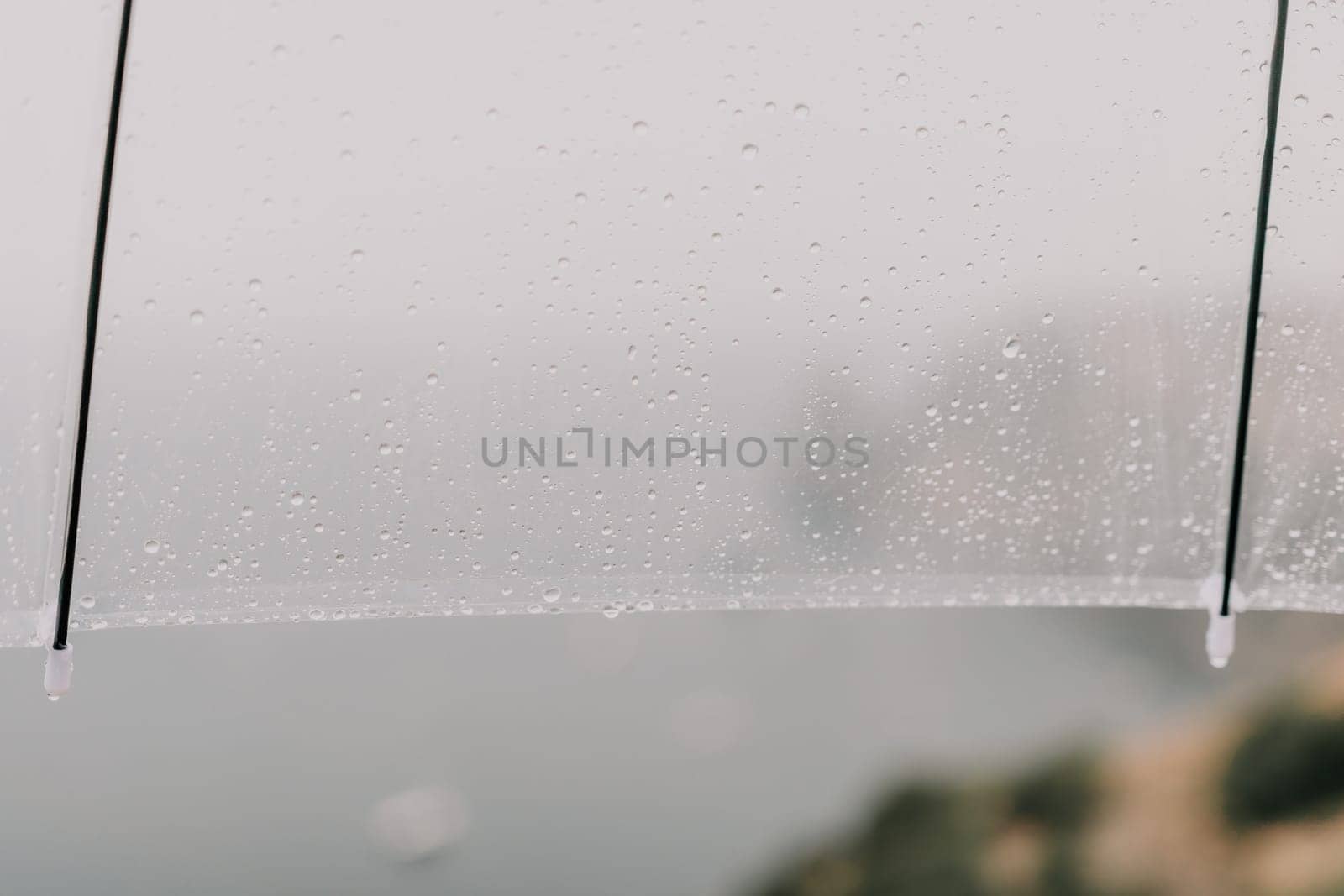 Woman rain park. Happy woman portrait wearing a raincoat with transparent umbrella outdoors on rainy day in park near sea. Girl on the nature on rainy overcast day