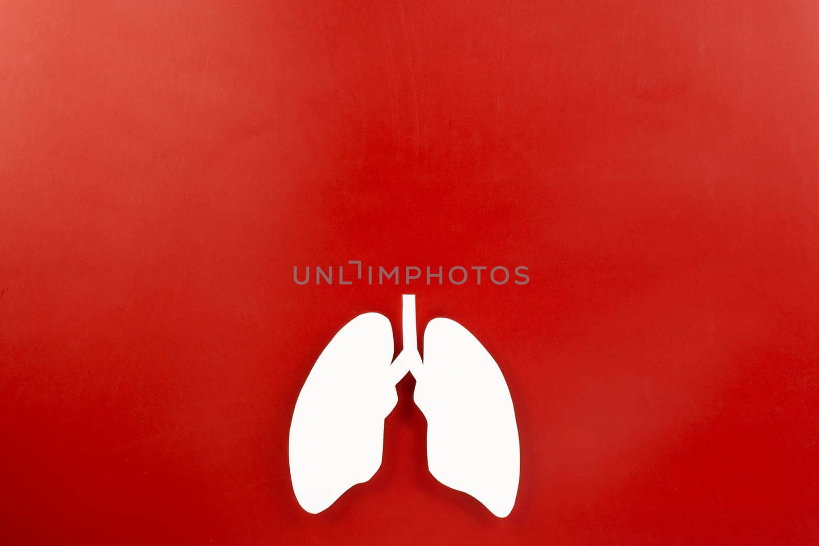 Lungs paper cutting symbol on red background, copy space, concept of world TB day, banner background design, respiratory diseases, lung cancer awareness, Healthcare, World tuberculosis day