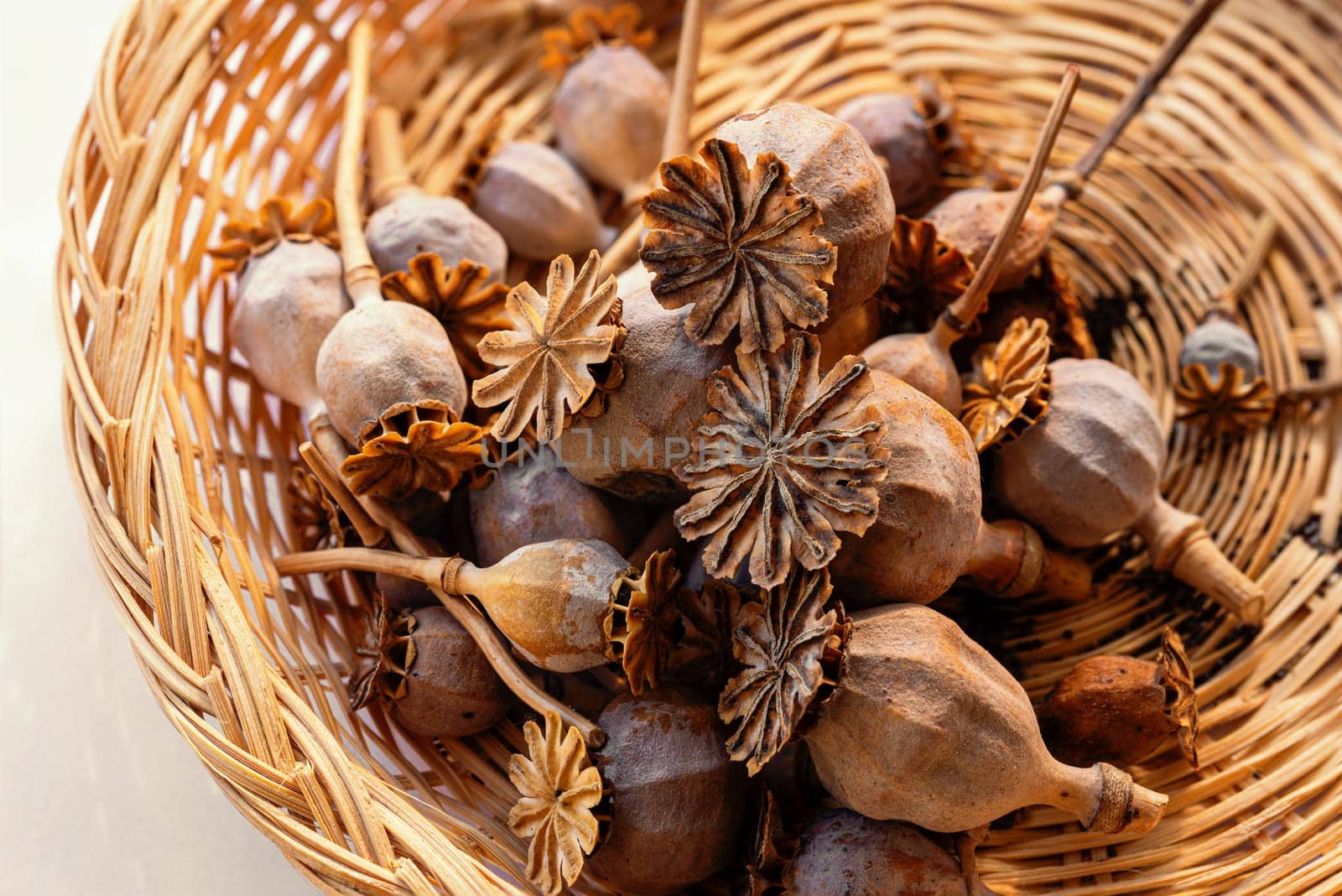 Closeup photography of many poppy heads in a wicker basket