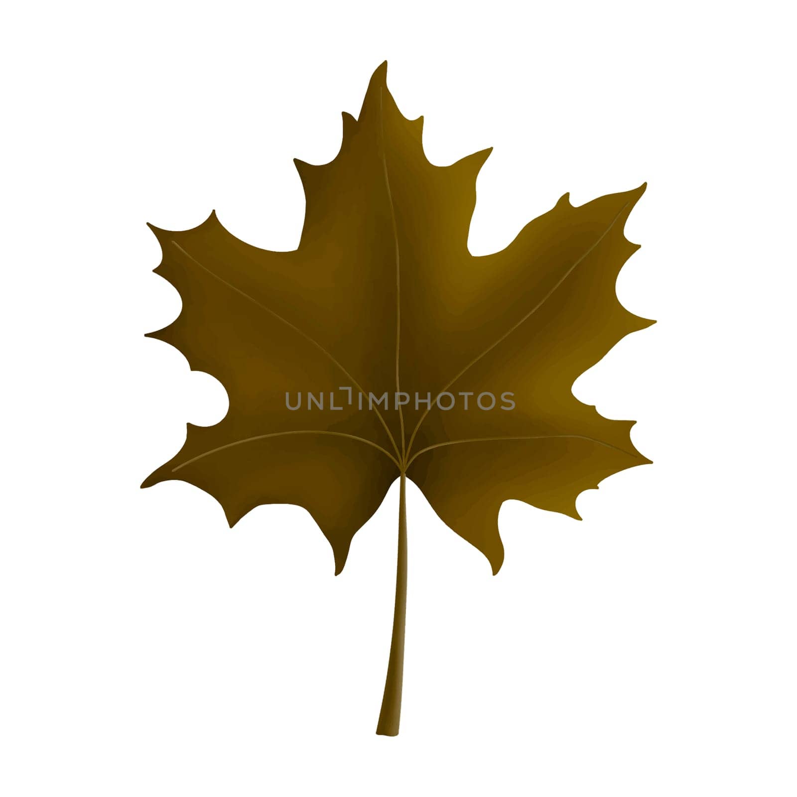 Autumn Maple Leaf Isolated Clipart. Maple Leaves design element isolated on white background for pattern, decoration, planner sticker, sublimation and more.