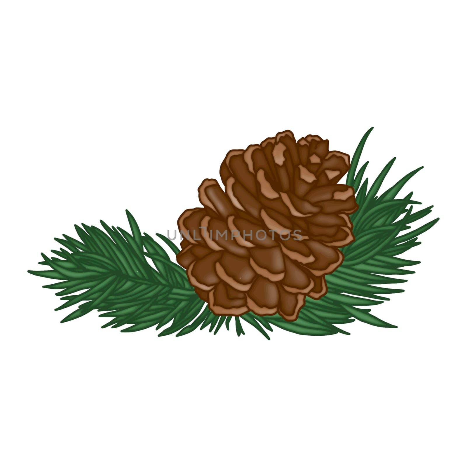 Pinecone with pine leaves clipart winter design element isolated on white background by Skyecreativestudio