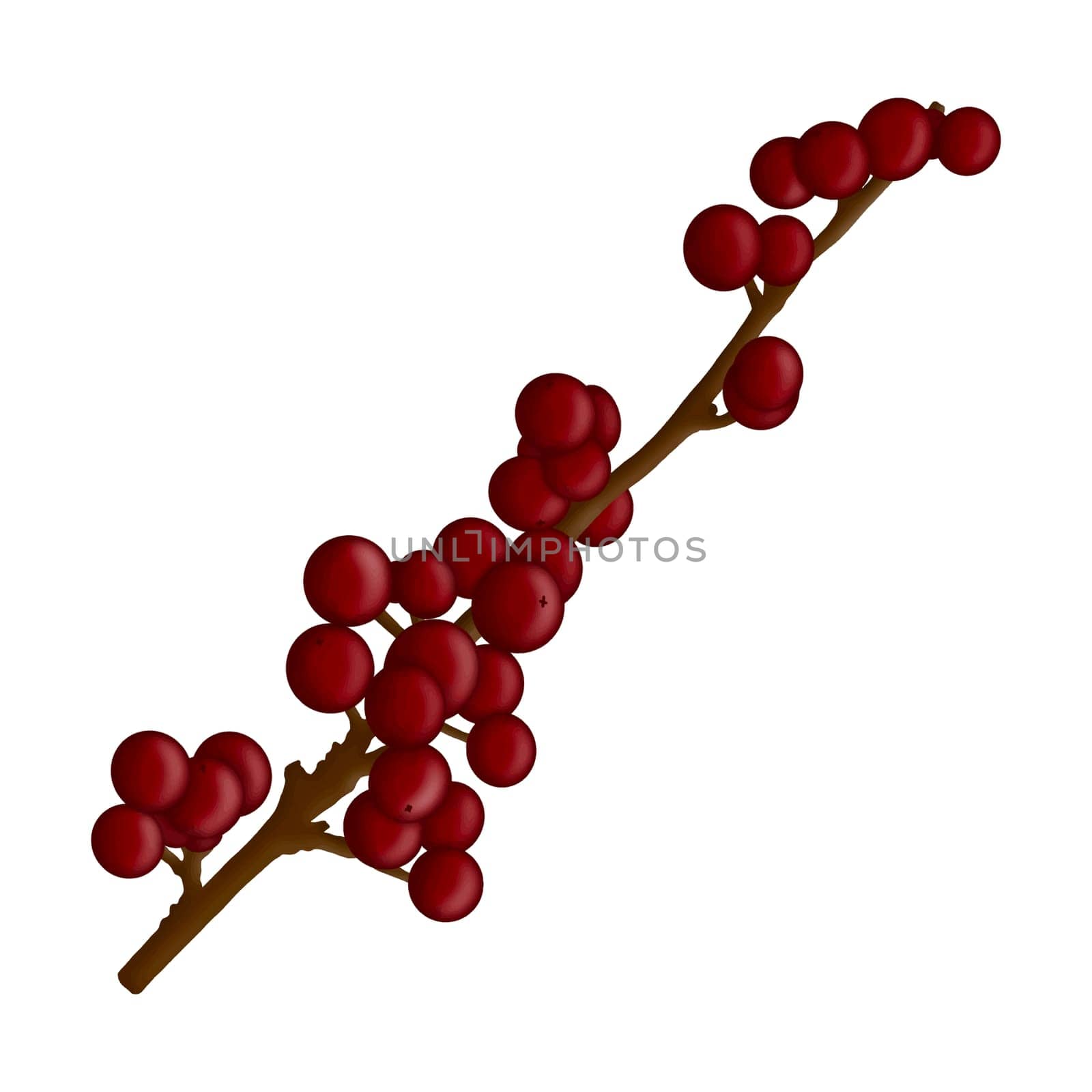 Winterberries branch christmas floral element isolated on white background. Botanical illustration for Xmas design. Party Clipart for celebration design, planner sticker, pattern, background, invitations, greeting cards, sublimation.