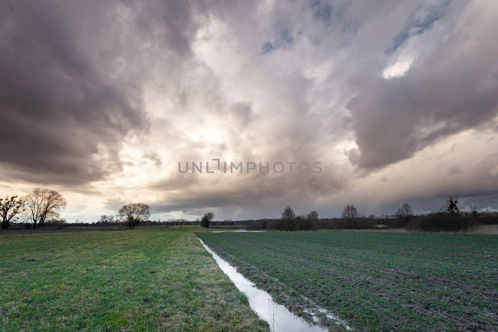 Gray clouds looming over a green field, Nowiny, Lubelskie, Poland