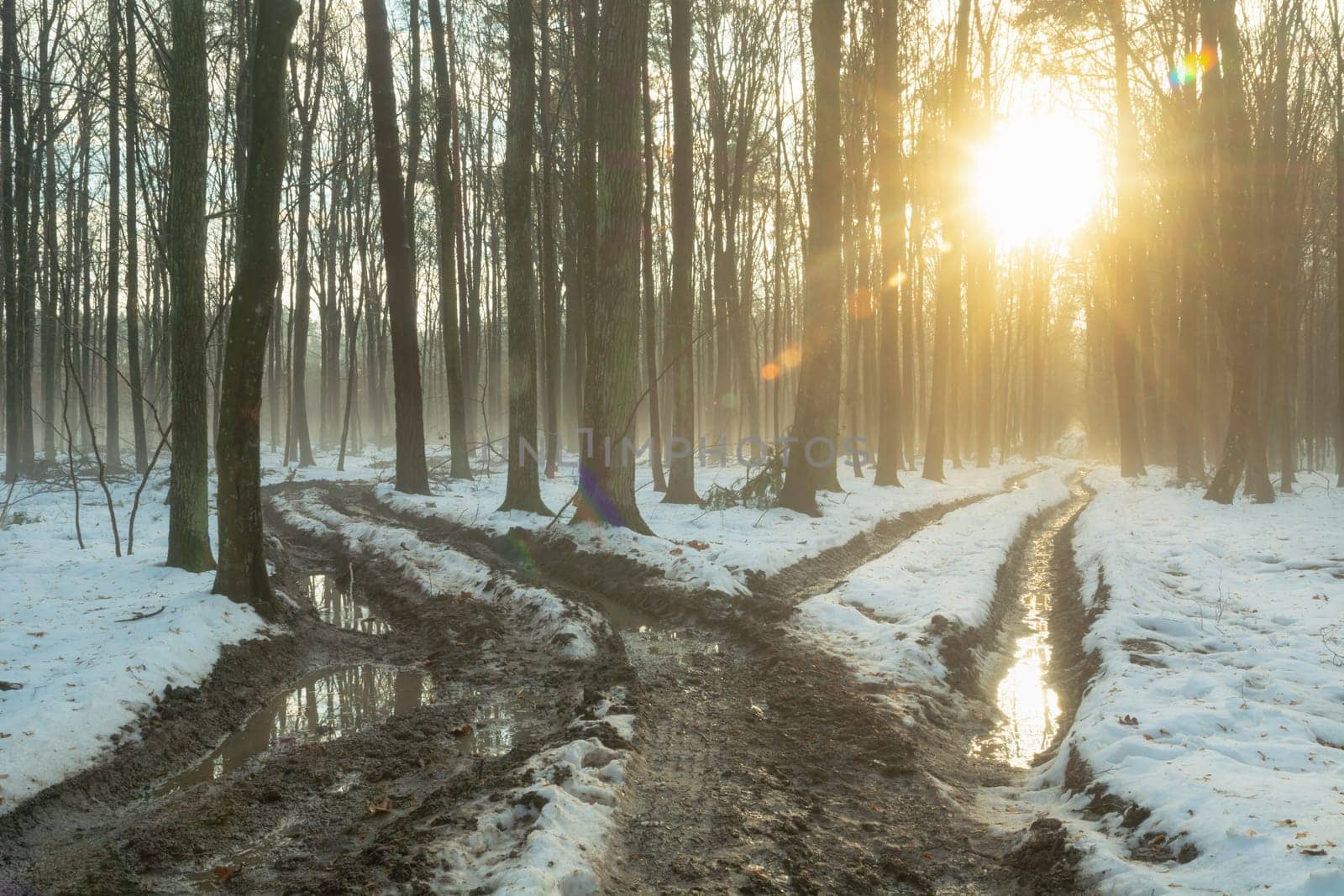 Glow of the sun with winter forest and muddy road fork by darekb22