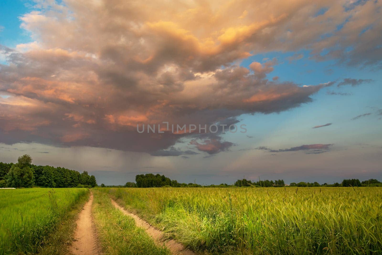 Dirt road next to a field with grain and clouds highlighted at sunset by darekb22