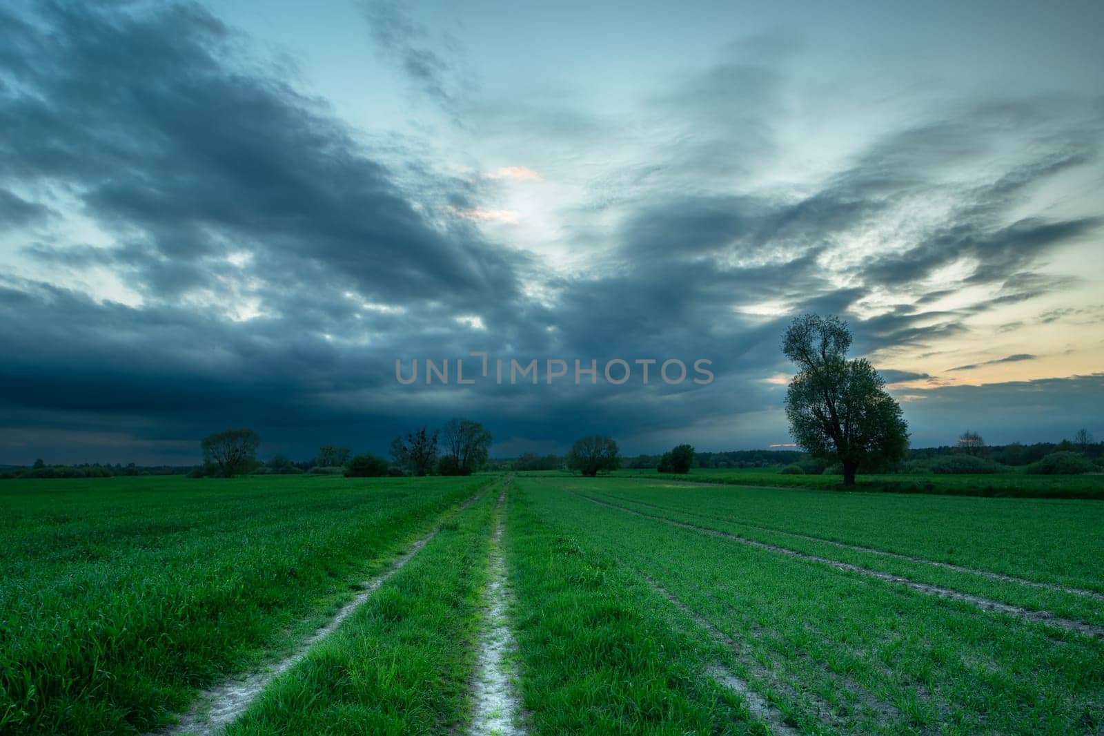 Dirt road through green fields and a front with dark clouds, Nowiny, Poland