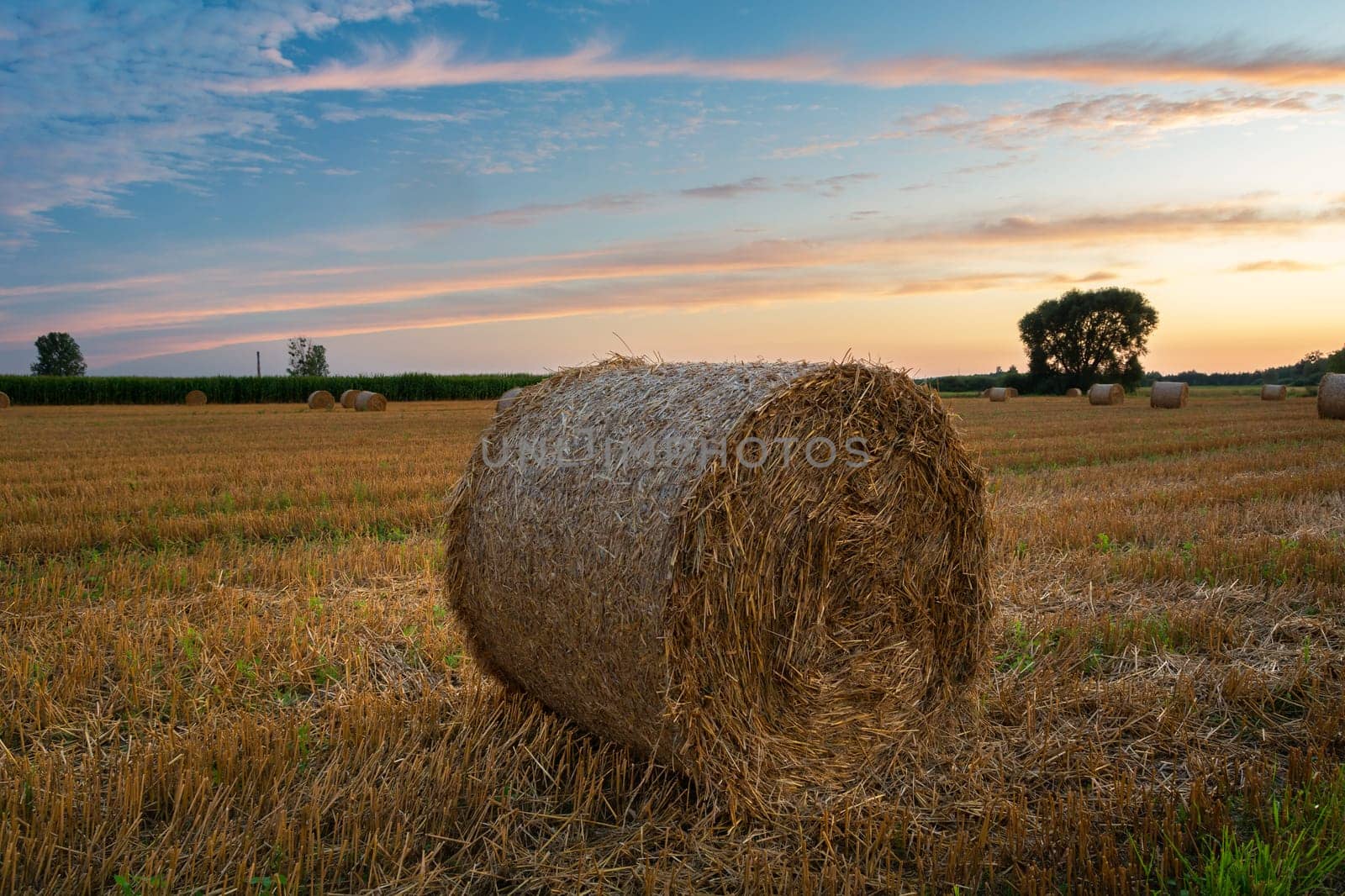 Round bale of hay in the field and the sky after sunset, Nowiny, Poland