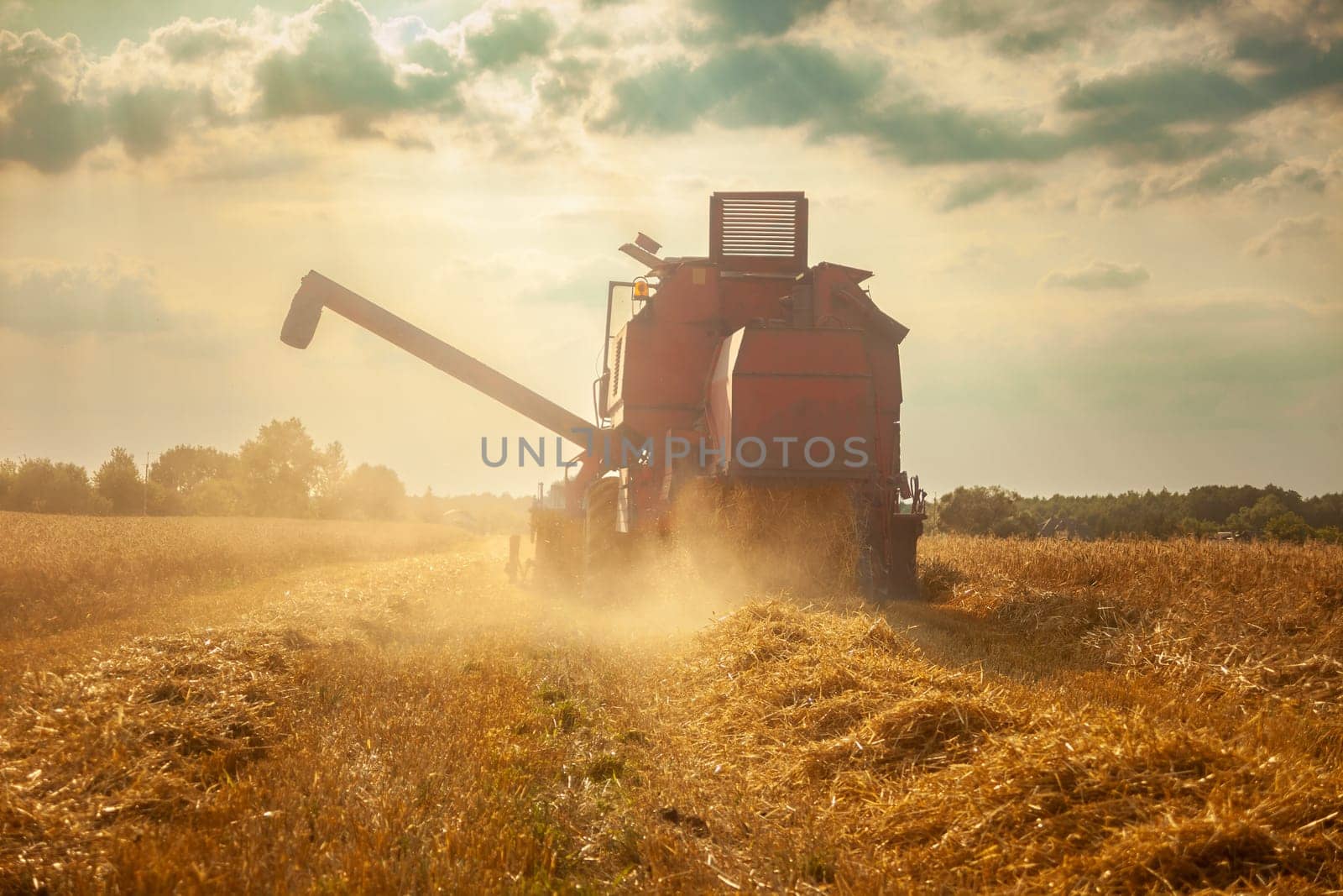 A large agricultural harvester mowing in a field with grain, summer day