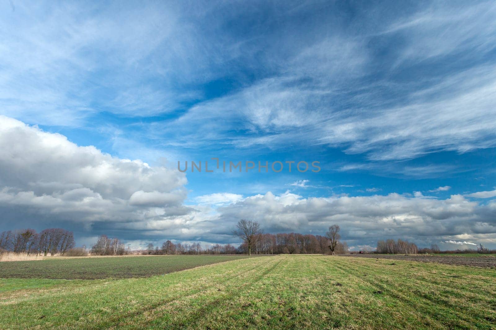 Clouds on the blue sky above the meadow by darekb22