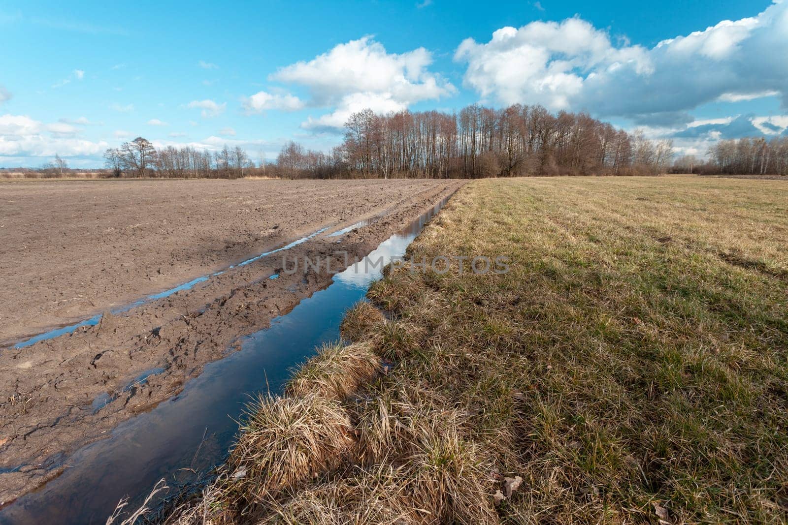 Water in a plowed field next to a meadow and clouds on the blue sky