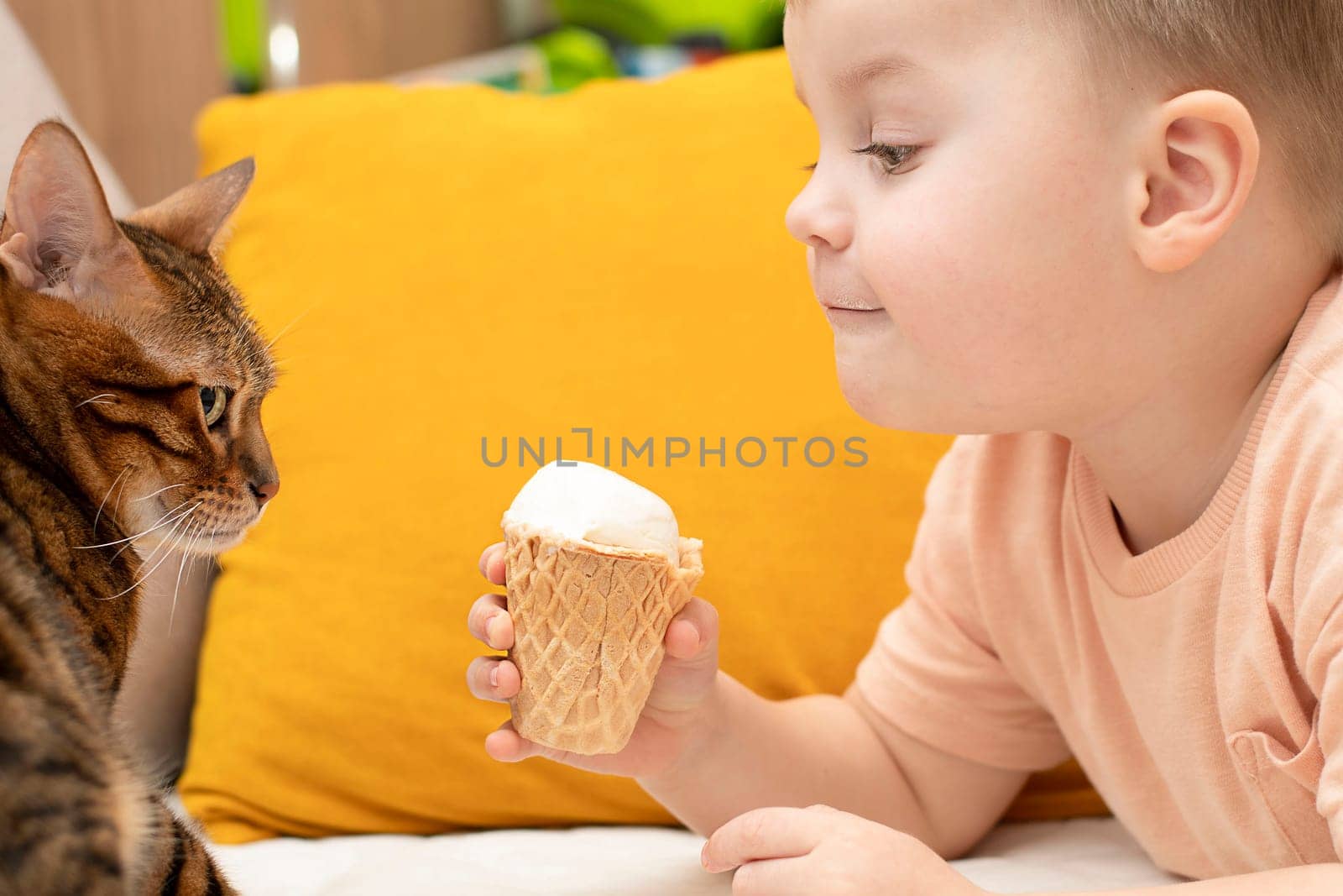 Little caucasian cute boy feeds domestic striped red leopard bengal cat with white ice cream in a waffle cup in home interior. Close-up. Soft focus.