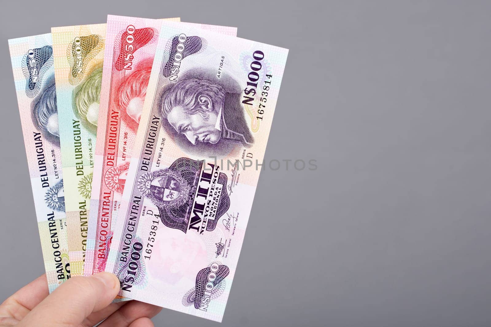 Uruguayan pesos  in the hand on a gray background by johan10
