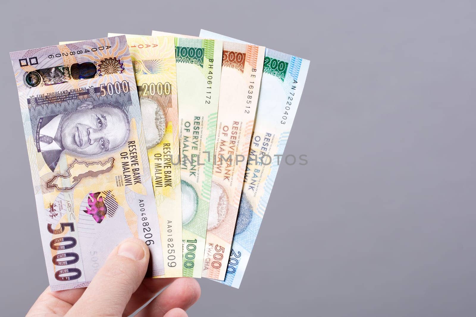 Malawian money on gray background by johan10