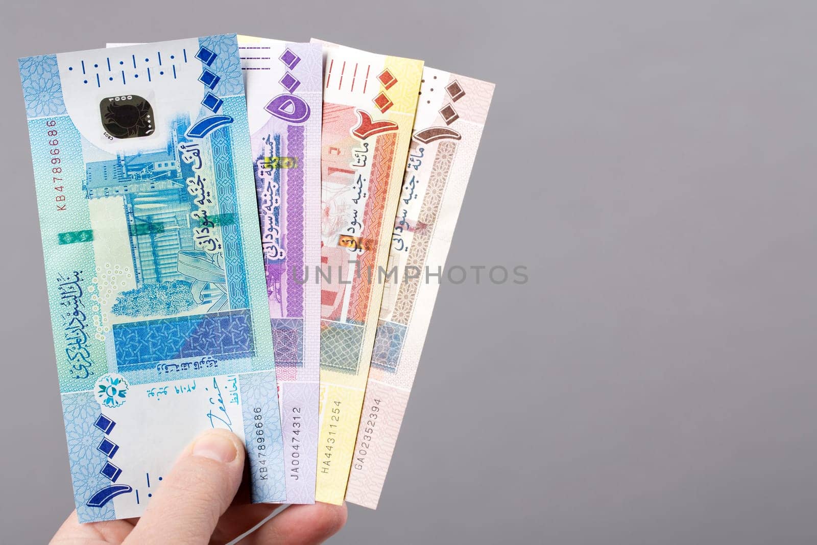 Sudanese money on a gray background by johan10