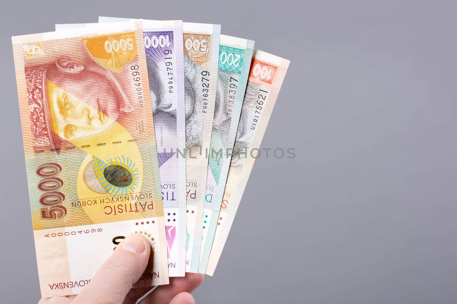 Slovak money - crowns on a gray background