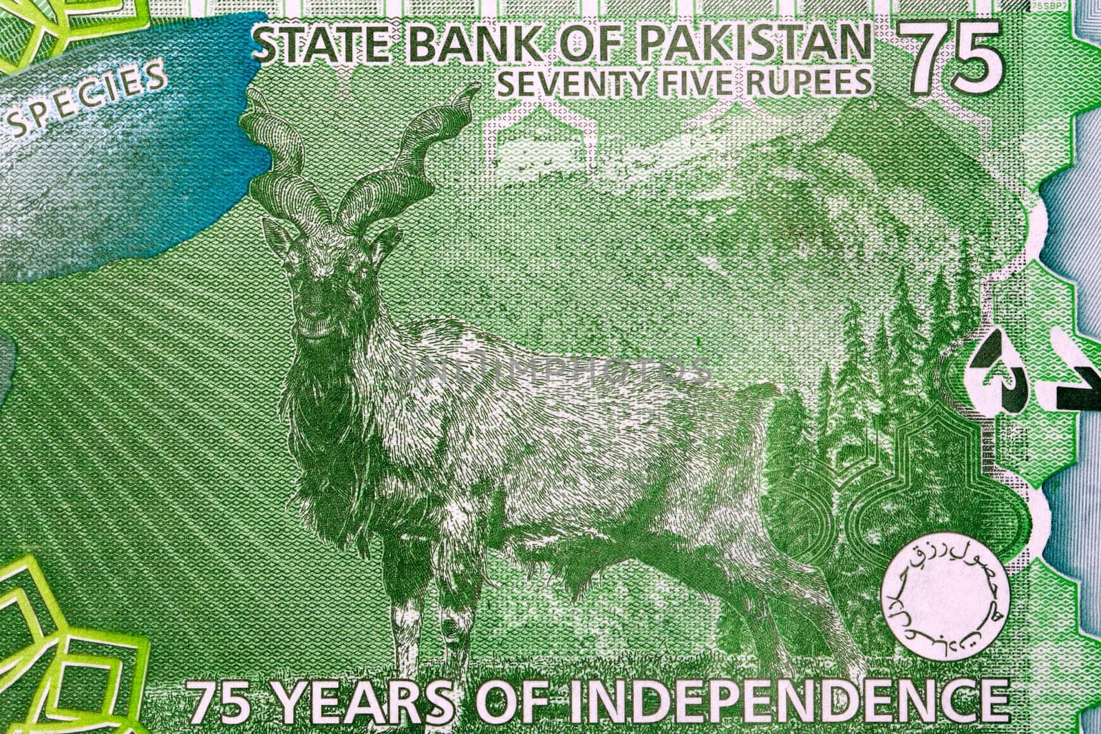 Markhor goat with landscape behind - from Pakistani money by johan10