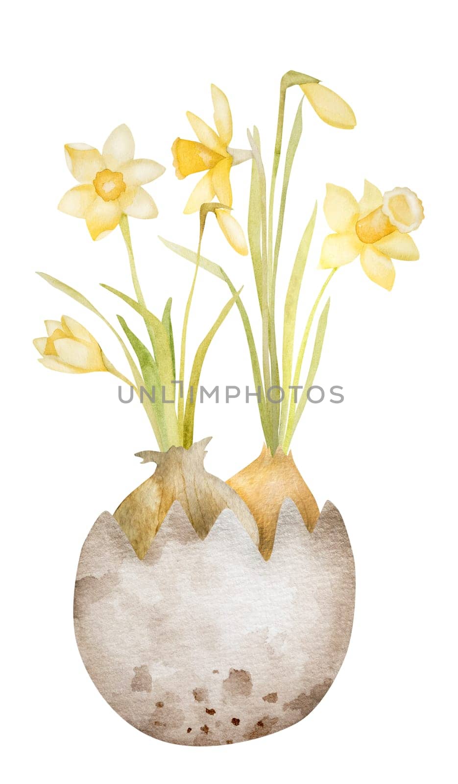 Easter bunny rabbit, narcissus flowers and egg watercolor painting for chrisitian holiday. Spring religion celebration symol for postcard design