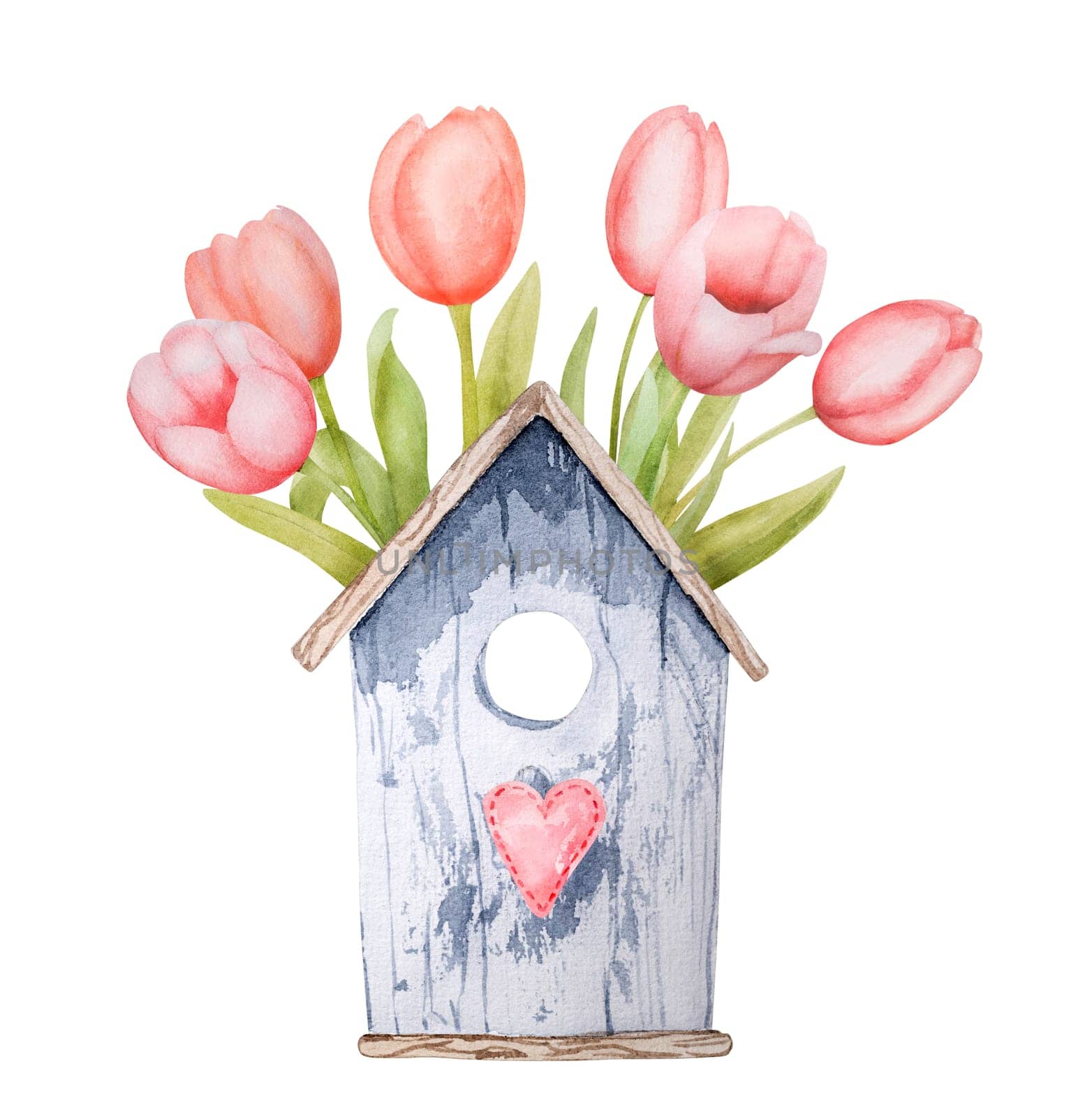 Beautiful pink tulip flowers and wooden bird house watercolor paiting. Spring blossom garden plant aquarelle drawing
