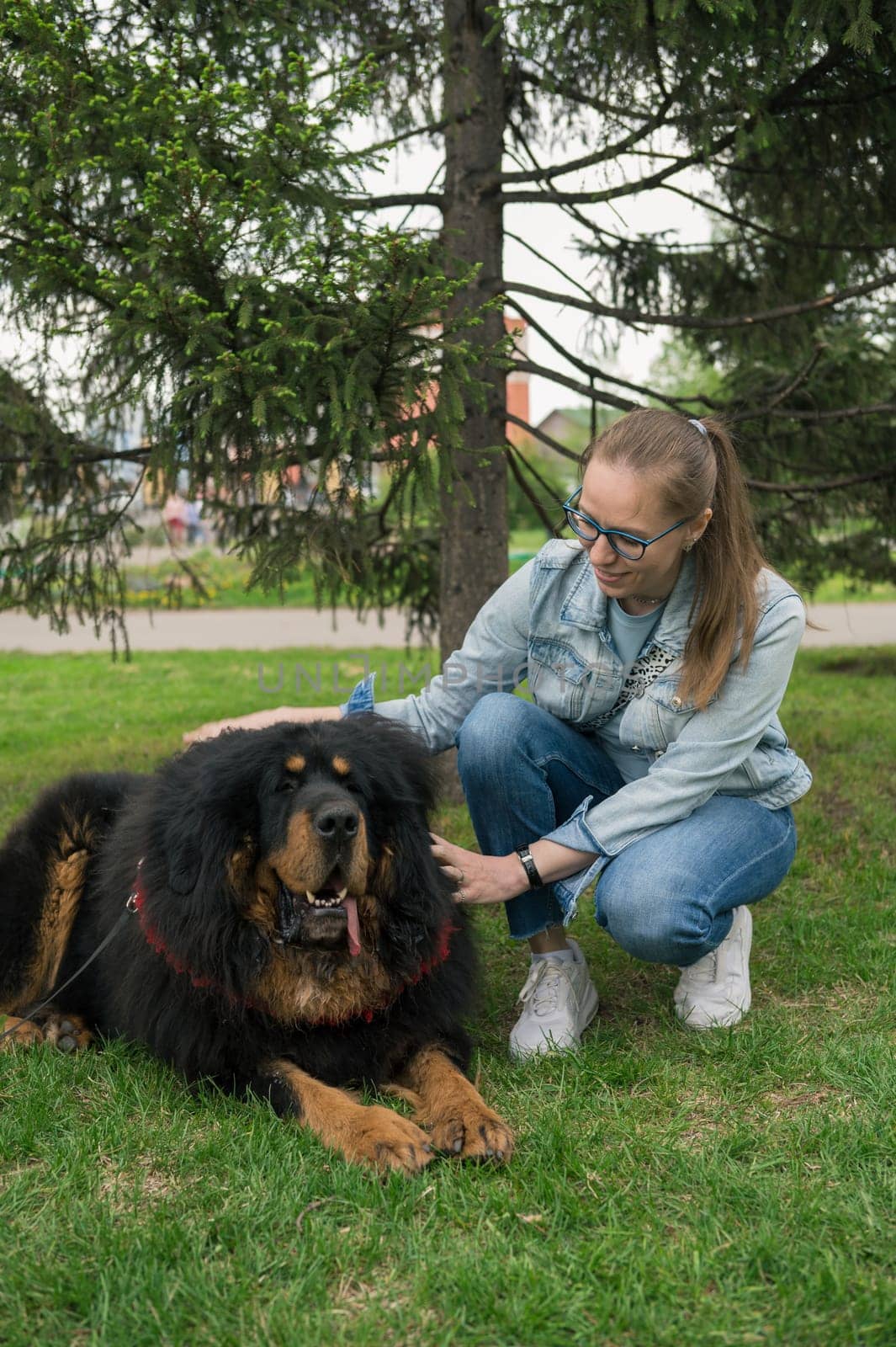 Happy woman walking with tibetan mastiff in park