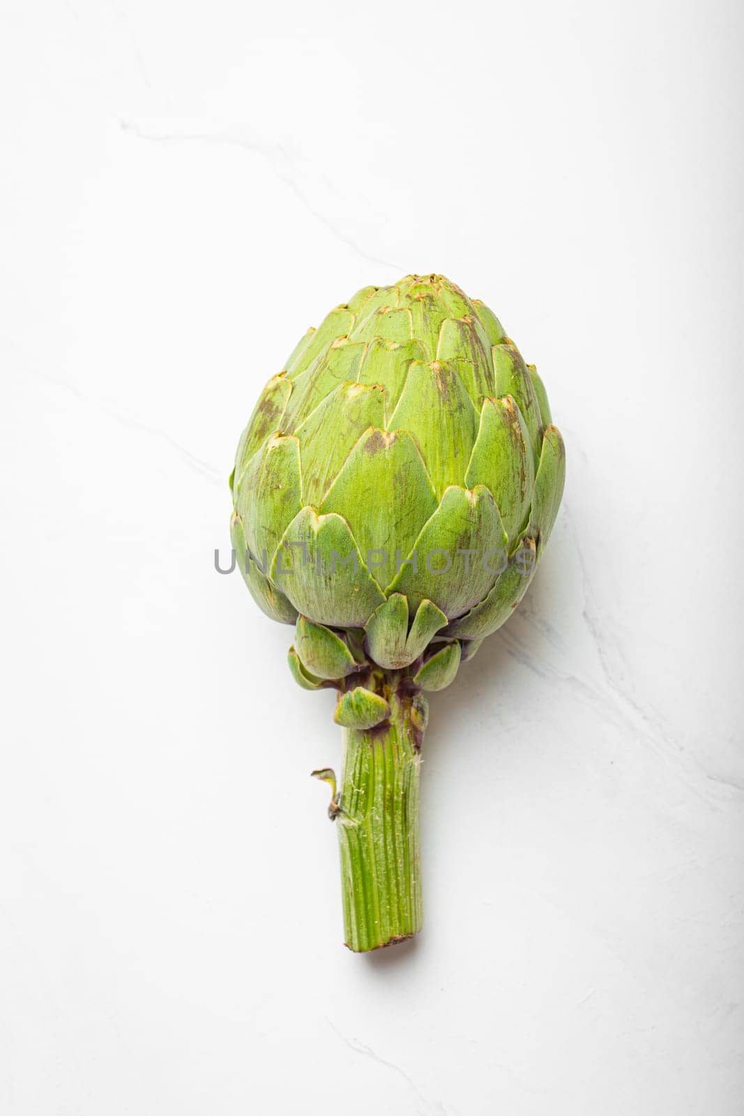 Fresh raw organic farm one artichoke on white marble background top view, healthy artichokes in balanced nutrition and cooking concept