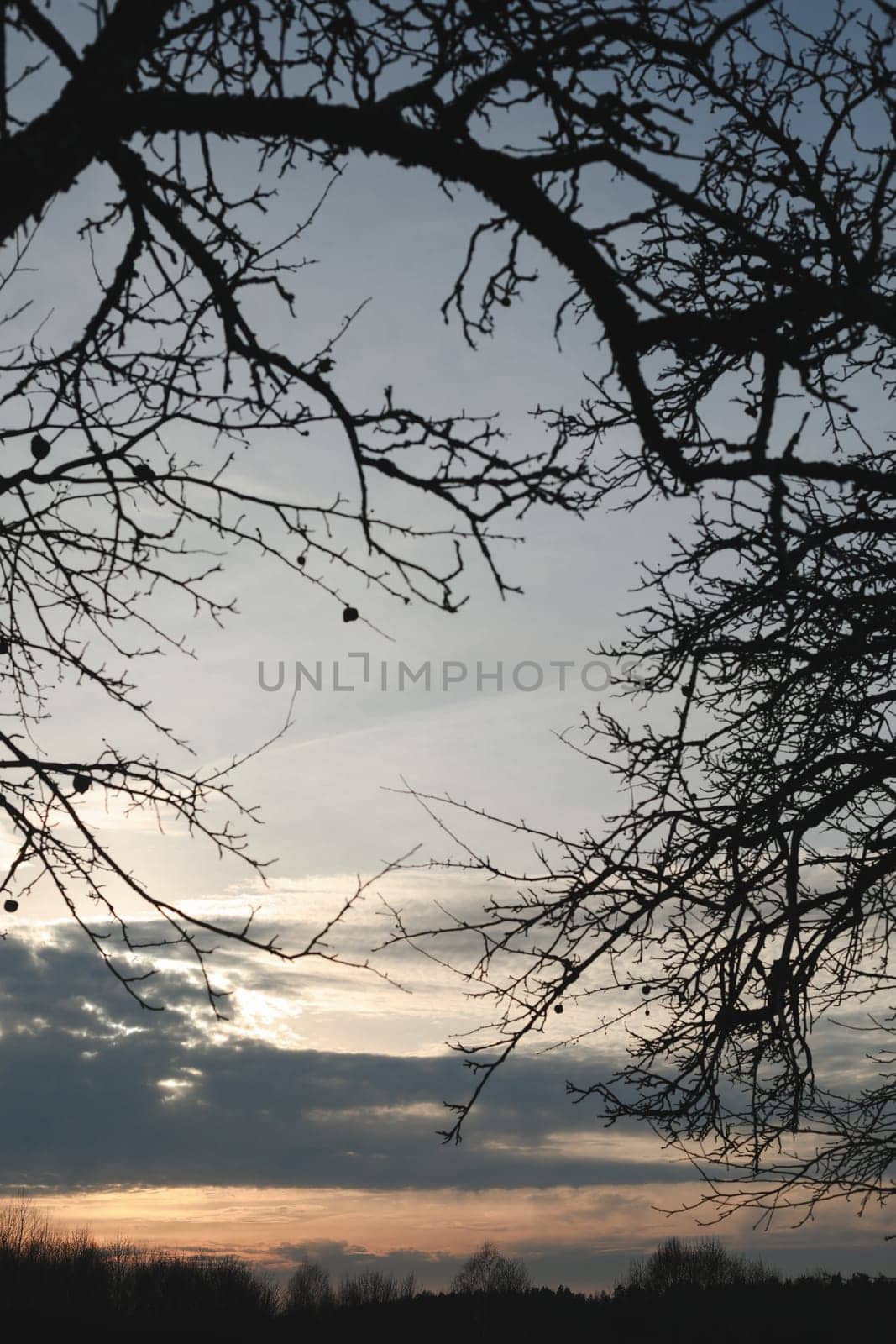 Natural sunset or sunrise. Bright dramatic Sky. Countryside Landscape under Scenic Colorful Sky at Sunset. Sun over skyline, Horizon