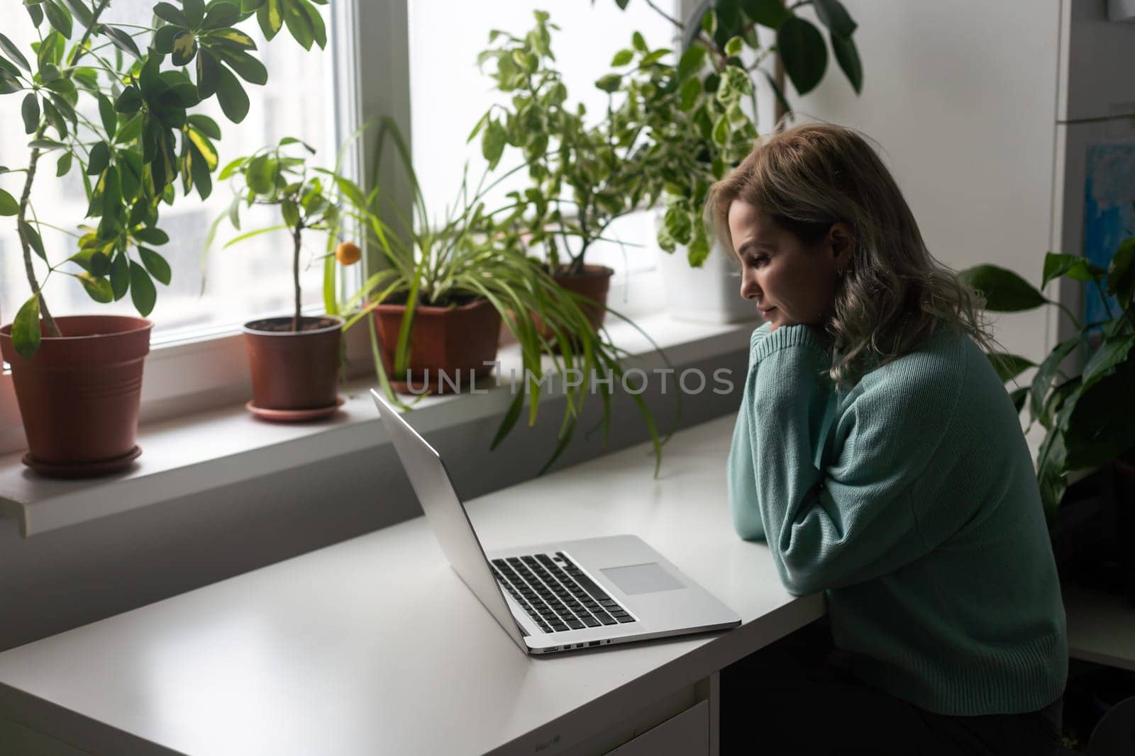Woman sitting on armchair and putting your feet on the windowsill, works on laptop at home during self-isolation, cat nearby wants attention and to be stroked. Business from home by Andelov13