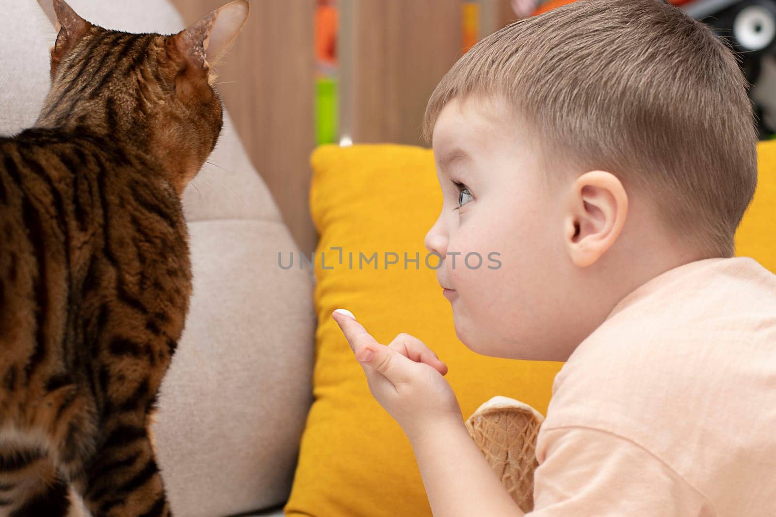 Little caucasian cute boy feeds domestic striped red leopard bengal cat with white ice cream in a waffle cup in home interior. Close-up. Soft focus.