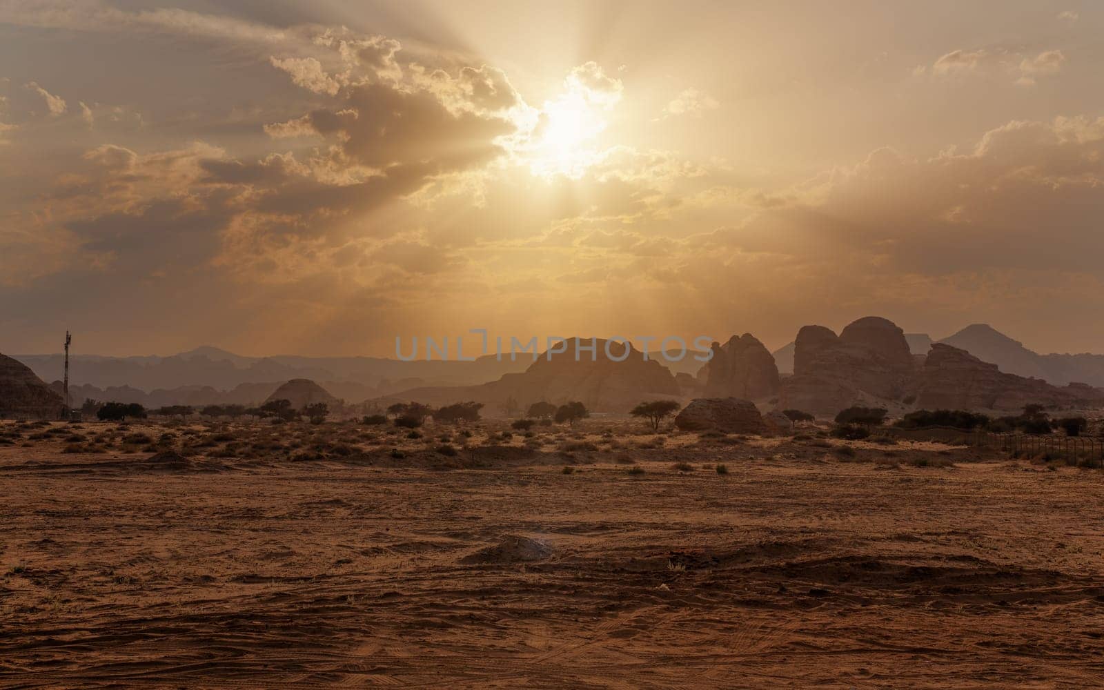 Typical landscape in Alula region near Hegra Mada in Salih archaeological site just before sunset sandy arid desert with few trees and small mountains at distance