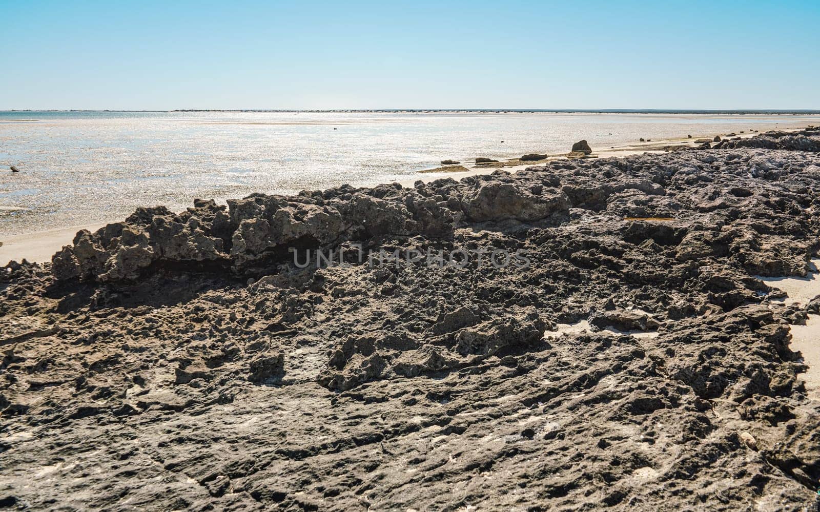 Small irregular dry stones visible at sand beach washed by sea water on a sunny day, closeup detail.