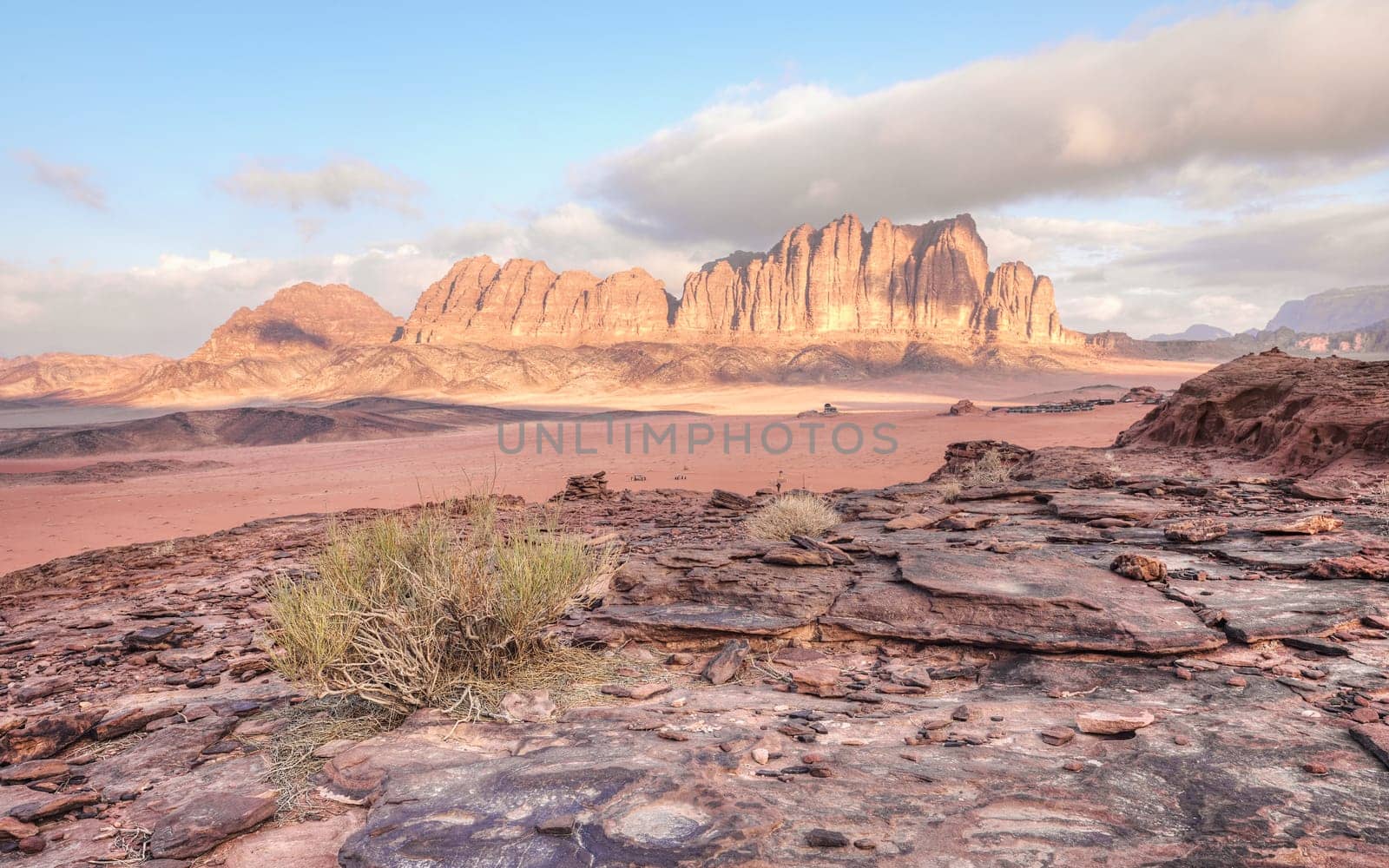 Red sandstone rocks formations with few dry shrubs or bushes in Wadi Rum (also known as Valley of the Moon) desert, Jordan. Morning sun shines to mountains background.