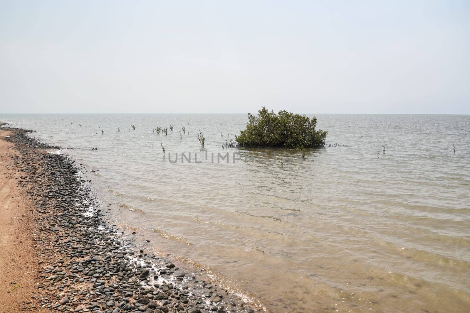 Typical beach near red sea in Yanbu, Saudi Arabia. As of 2022, swimming outside isn't popular at this country due to Islamic cultural traditions, so not many tourist resort with nice beaches.