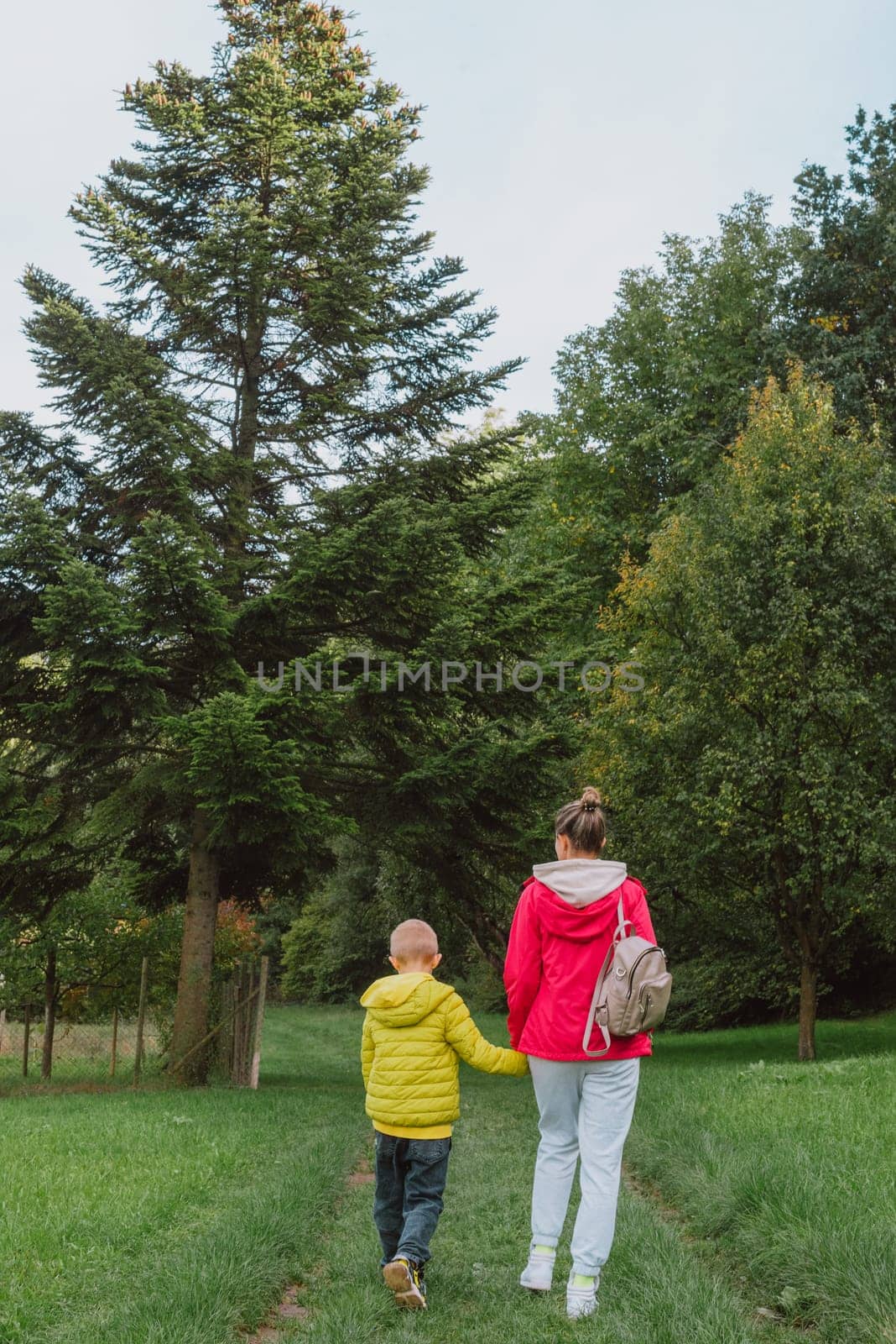 Beautiful family -Mom with small son on a walk in autumn sunny nature. Happy couple holding hands. Back view. Young mother with her little baby boy having fun in the autumn park by Andrii_Ko