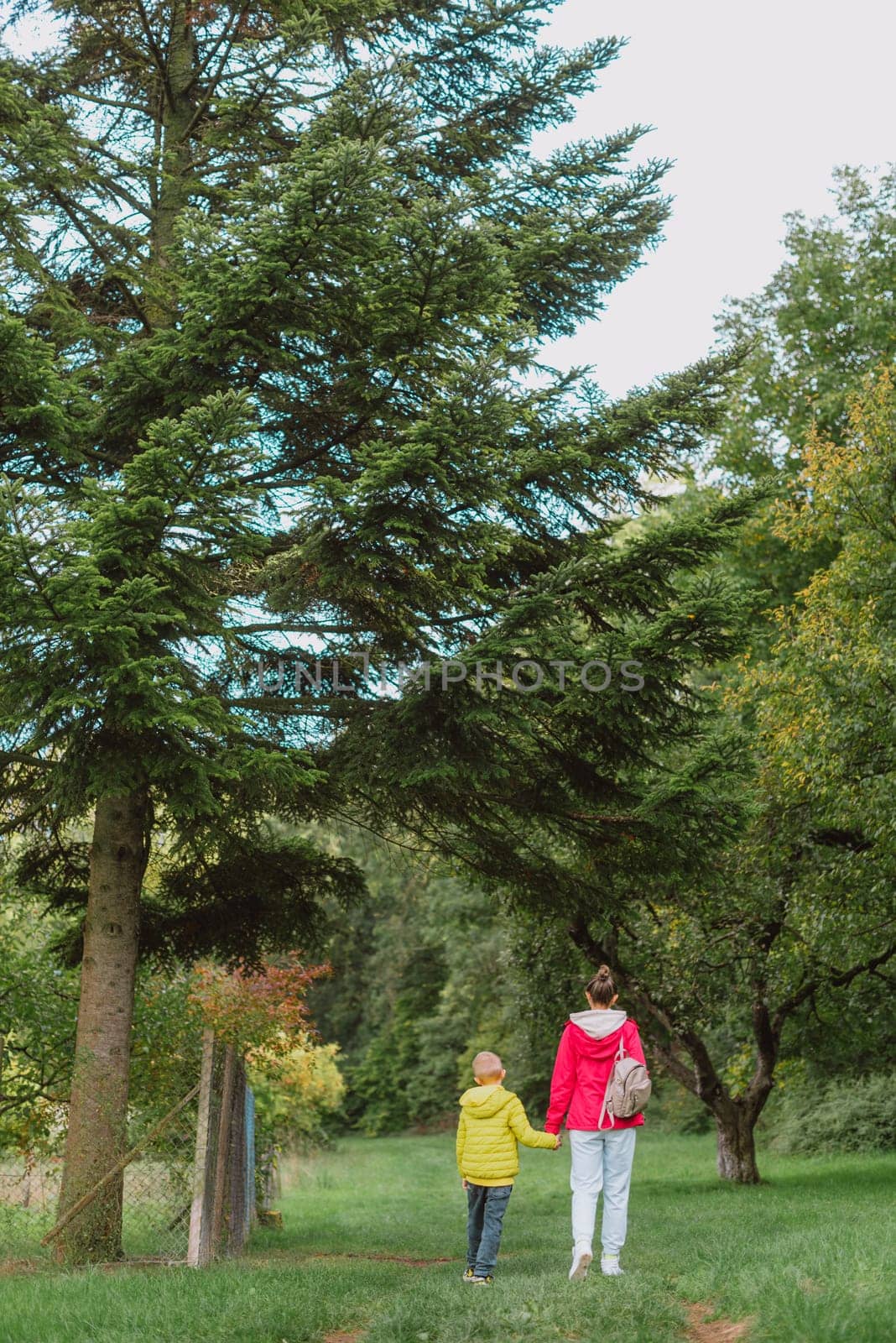 Beautiful family -Mom with small son on a walk in autumn sunny nature. Happy couple holding hands. Back view. Young mother with her little baby boy having fun in the autumn park