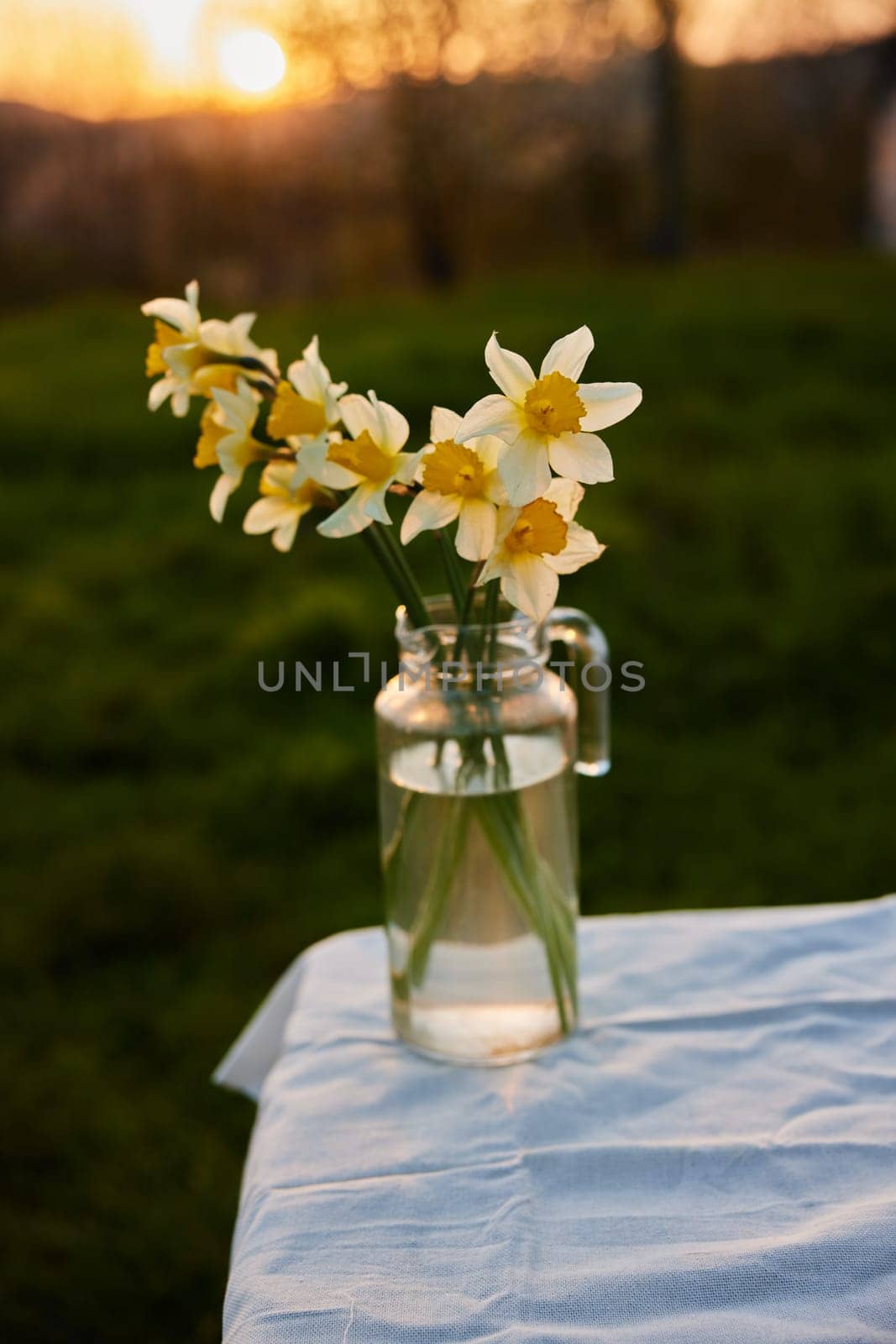 aesthetic photograph of daffodil bouquets standing on a street table by Vichizh
