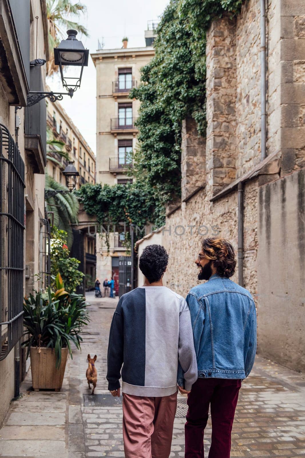 rear view of a gay male couple strolling happy down a cobbled street holding hands, concept of leisure and love between people of the same sex, copy space for text