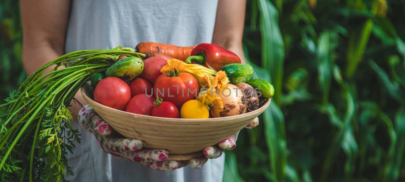 Farmer woman harvests vegetables in the garden. Selective focus. Food.