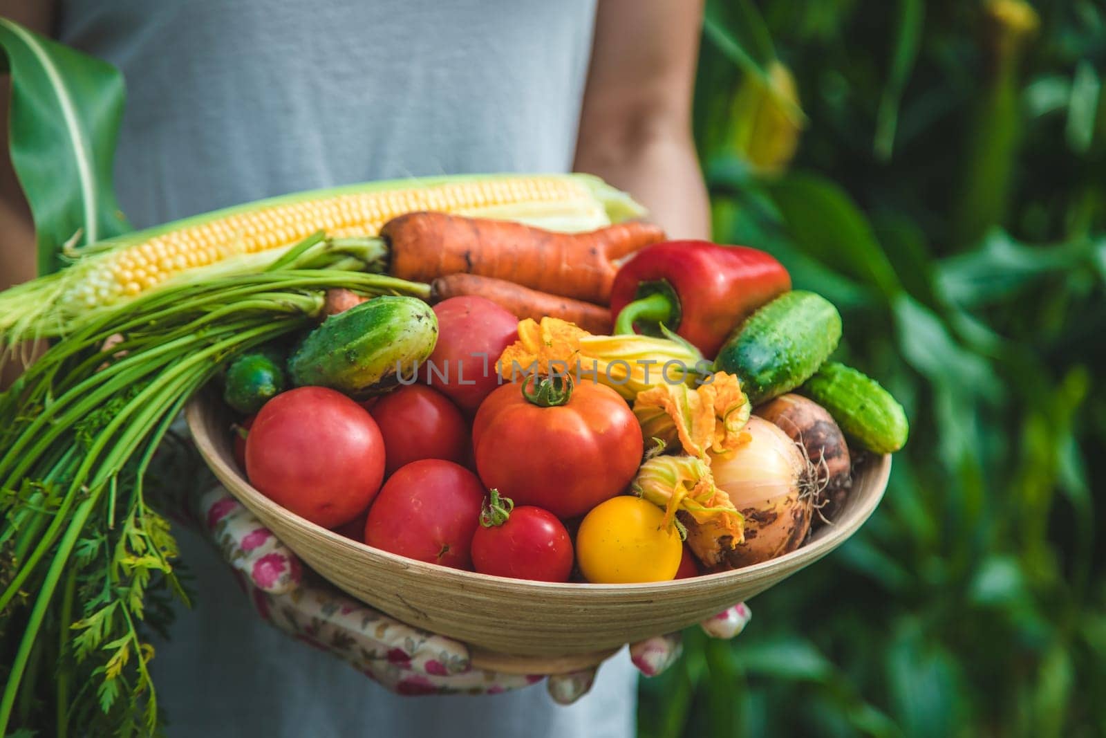 Farmer woman harvests vegetables in the garden. Selective focus. Food.