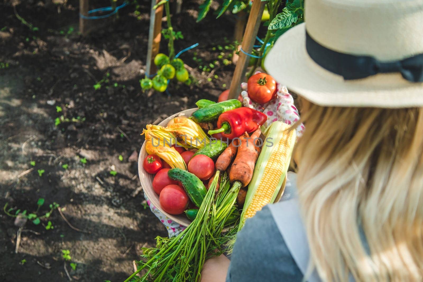 Farmer woman harvests vegetables in the garden. Selective focus. Food.