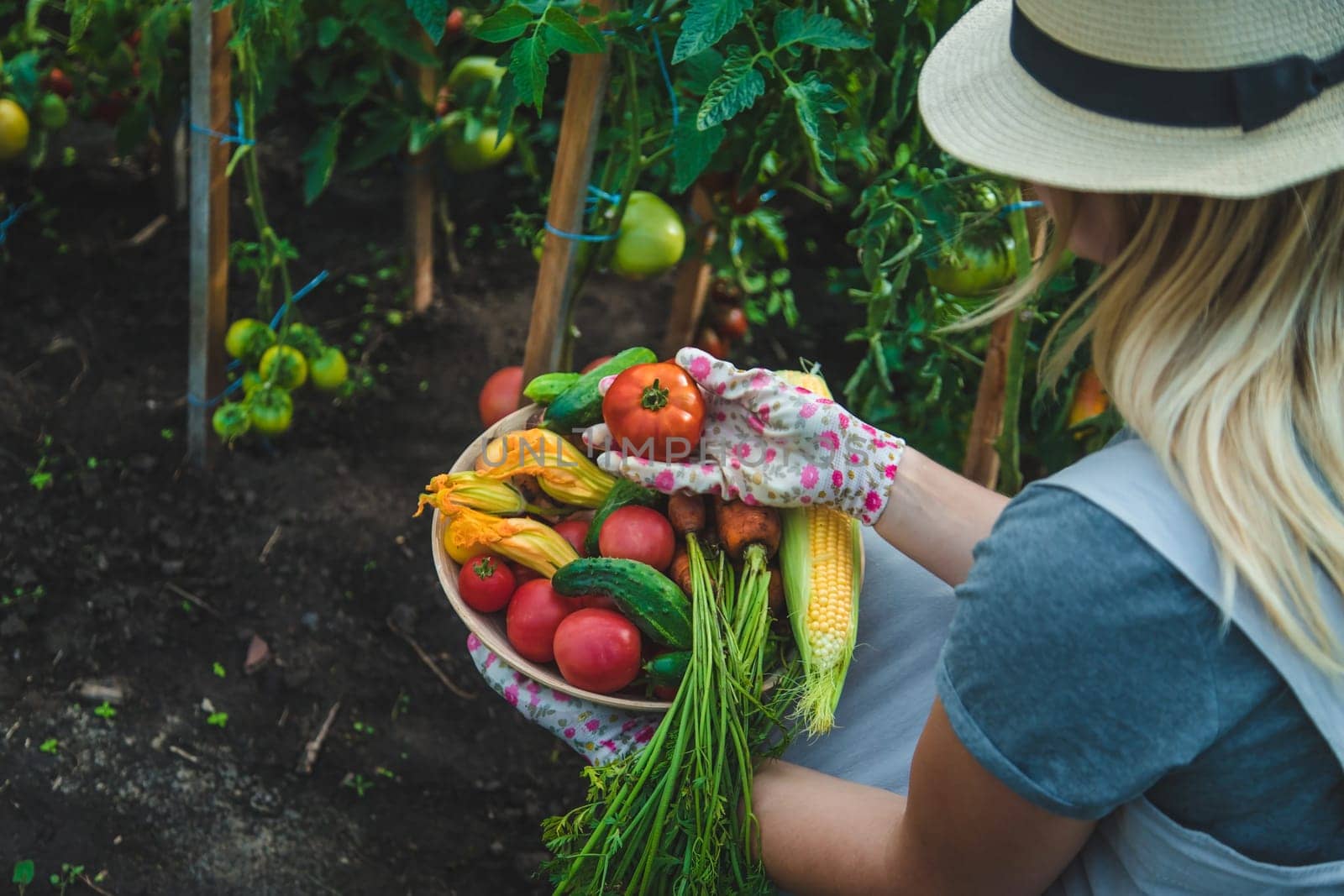 Farmer woman harvests vegetables in the garden. Selective focus. Food.