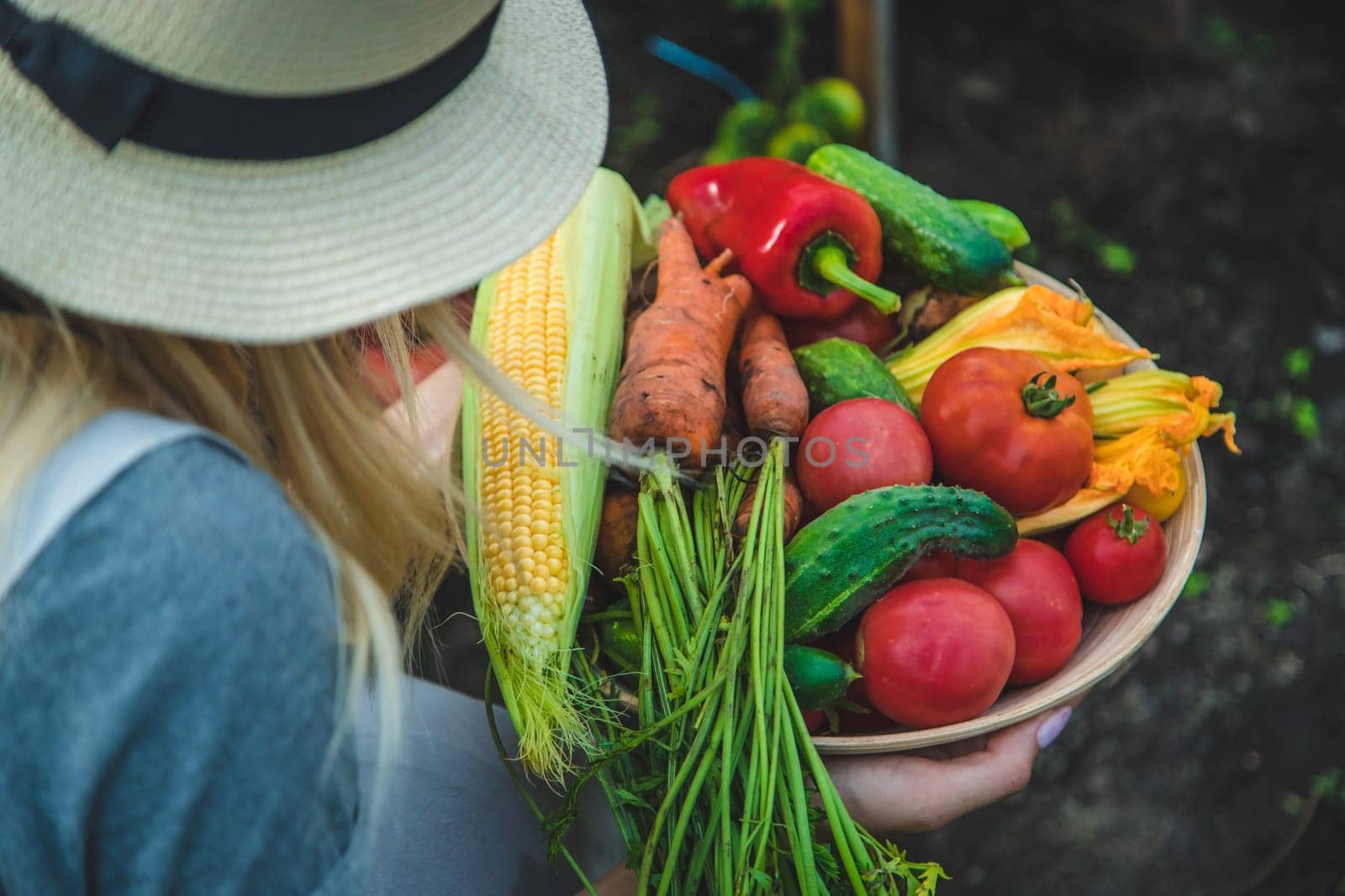 Farmer woman harvests vegetables in the garden. Selective focus. Food.