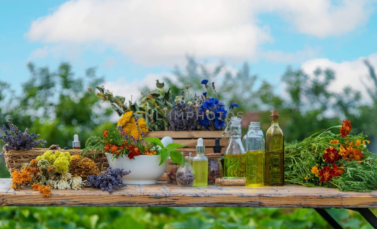 Medicinal herbs and natural tinctures. Selective focus. Nature.