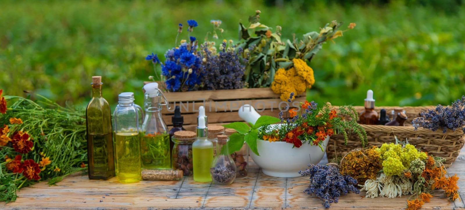 Medicinal herbs and natural tinctures. Selective focus. Nature.