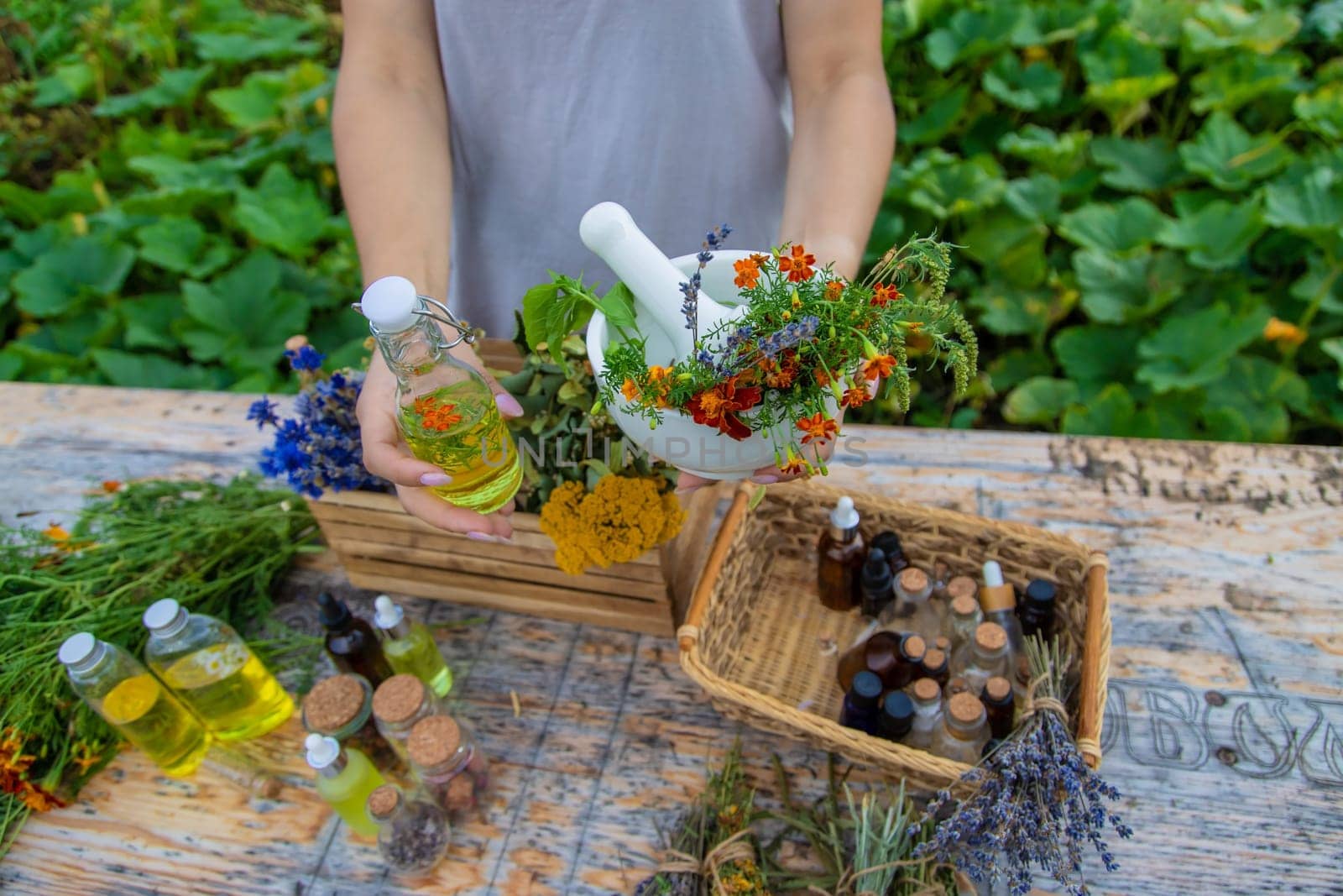 Medicinal herbs and natural tinctures. Selective focus. Nature.