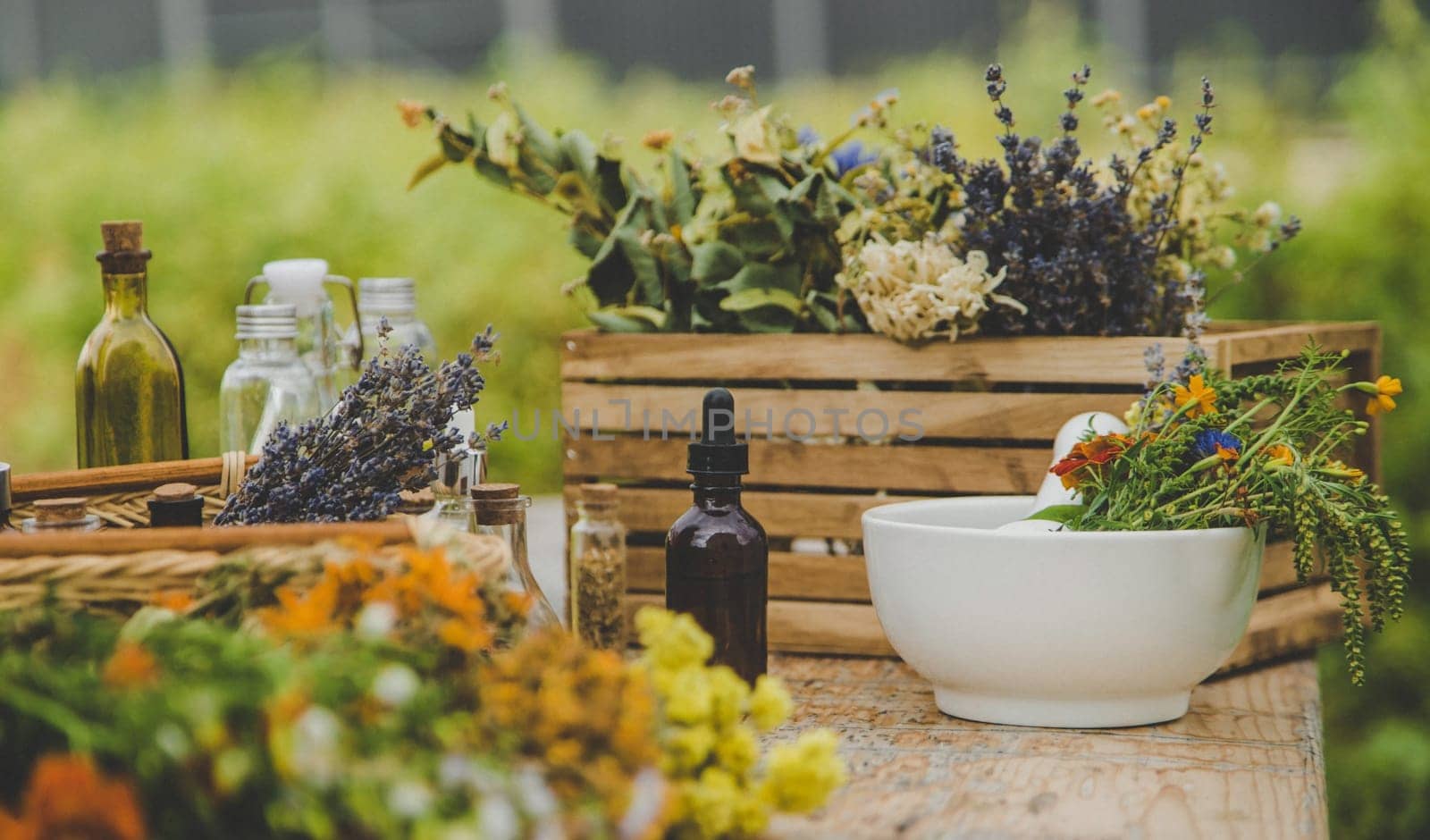 Medicinal herbs and natural tinctures. Selective focus. Nature.