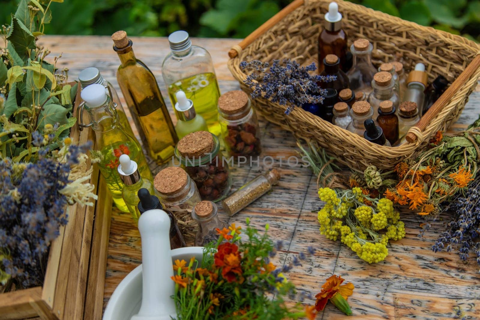 Medicinal herbs and natural tinctures. Selective focus. Nature.